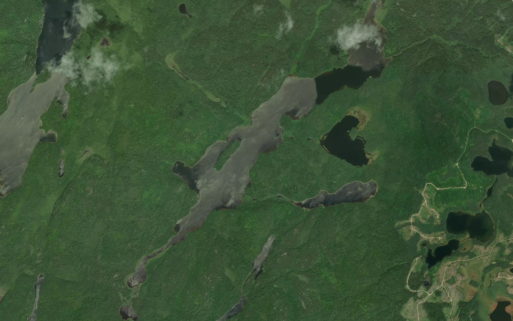 Satellite map of the Jembi Lake