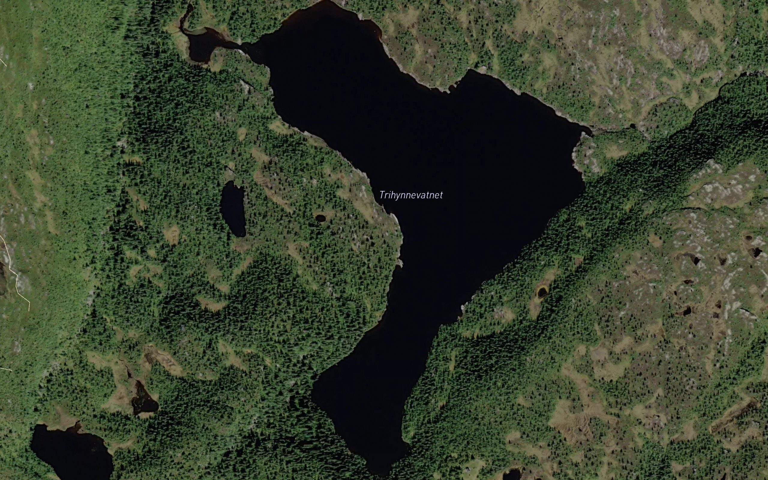 Trihyrnevatnet