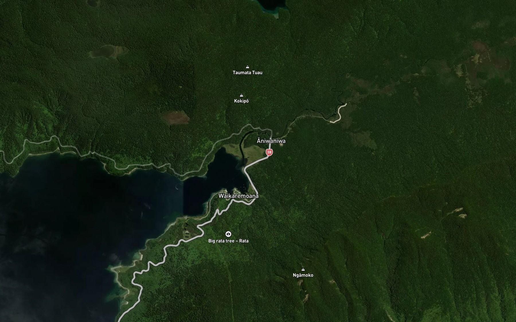 Satellite map of the Ruapapa Stream