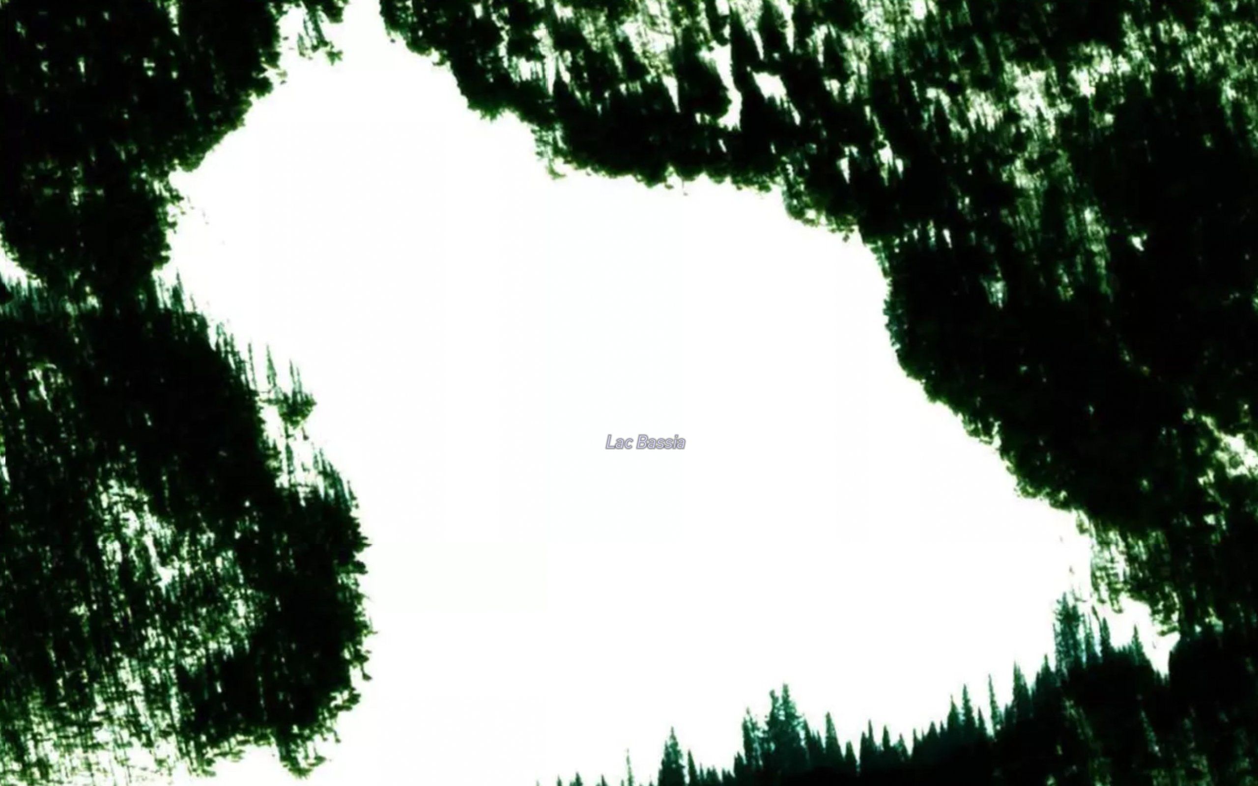 Lac Bassia