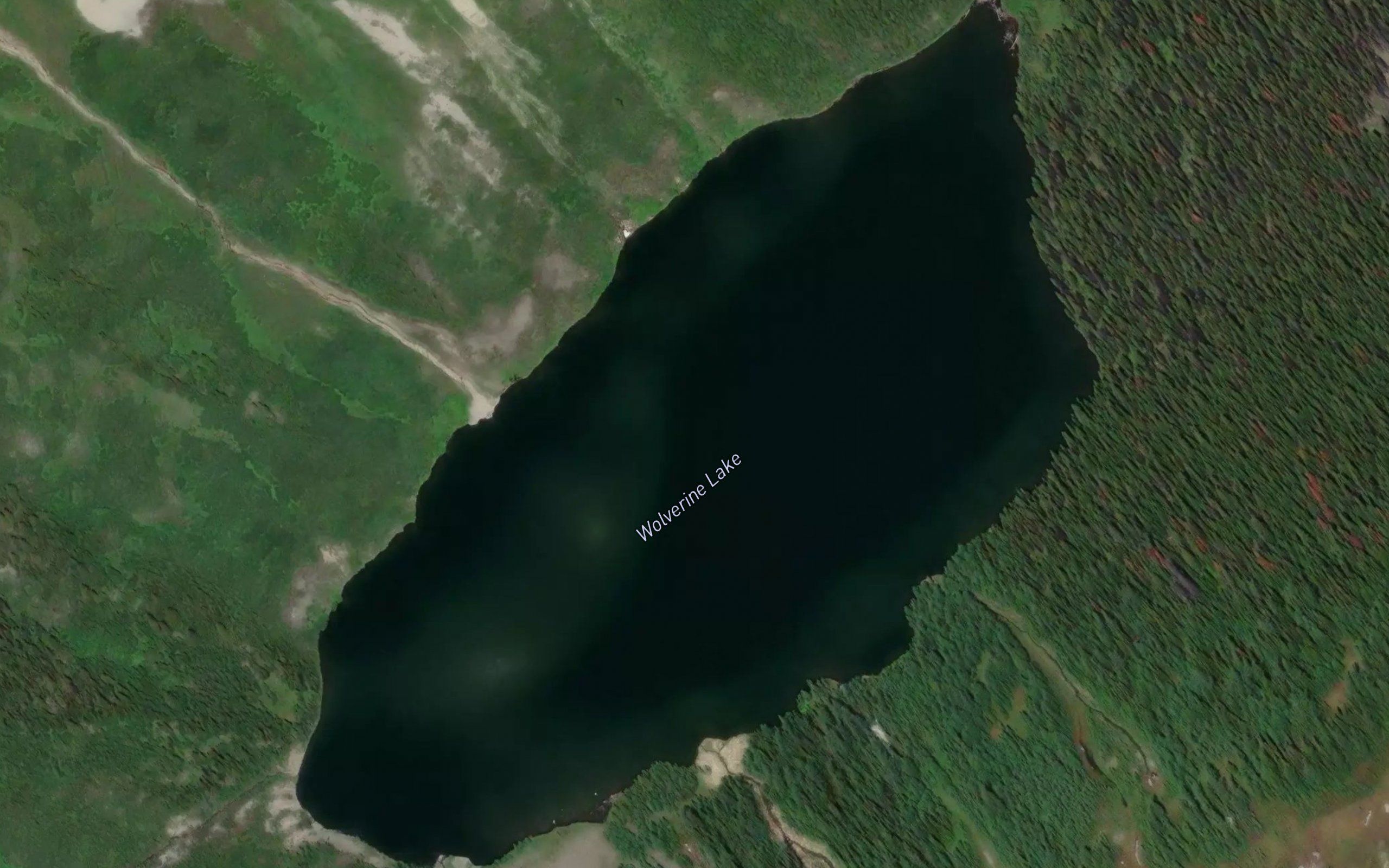 Wolverine Lake