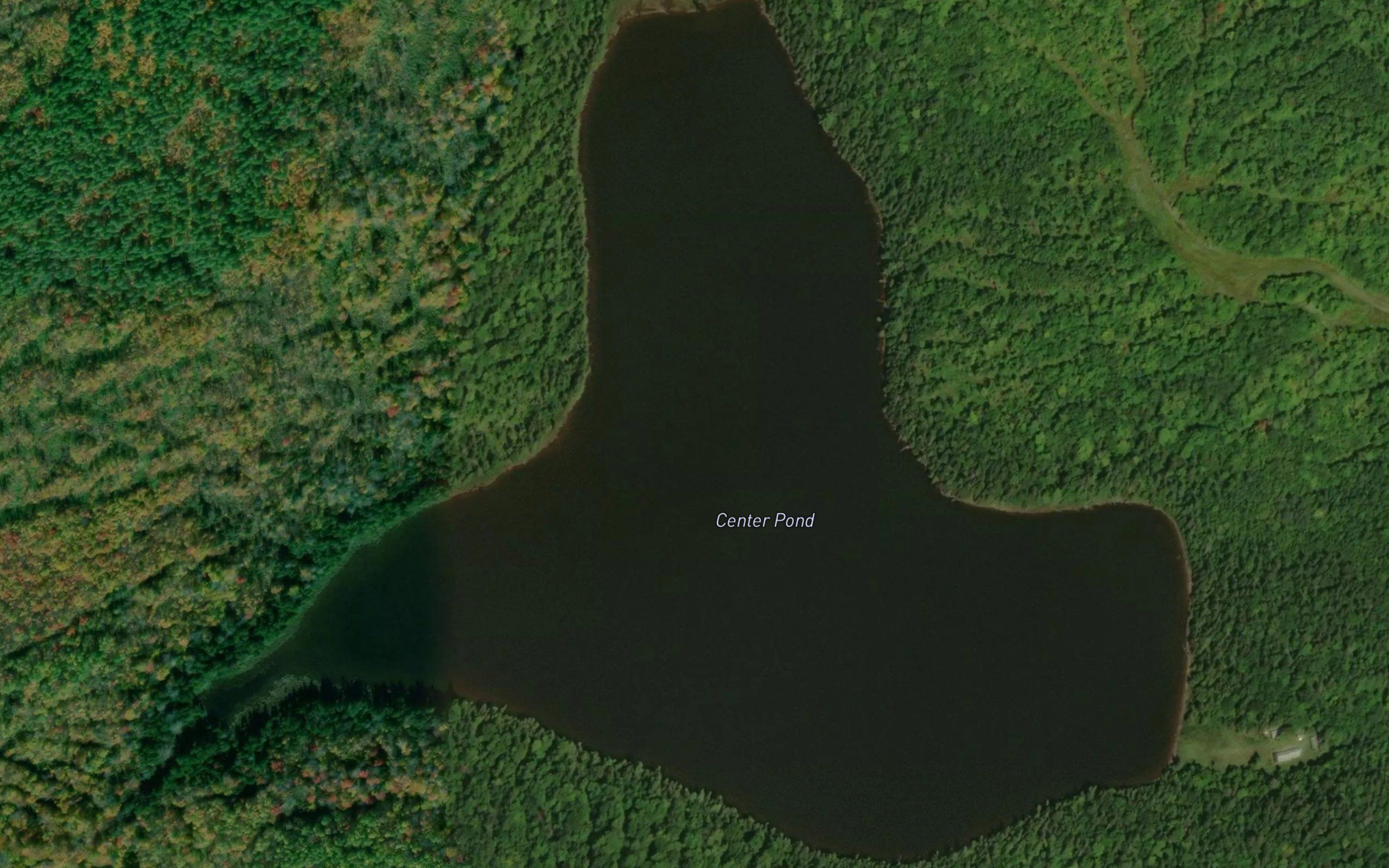 Center Pond