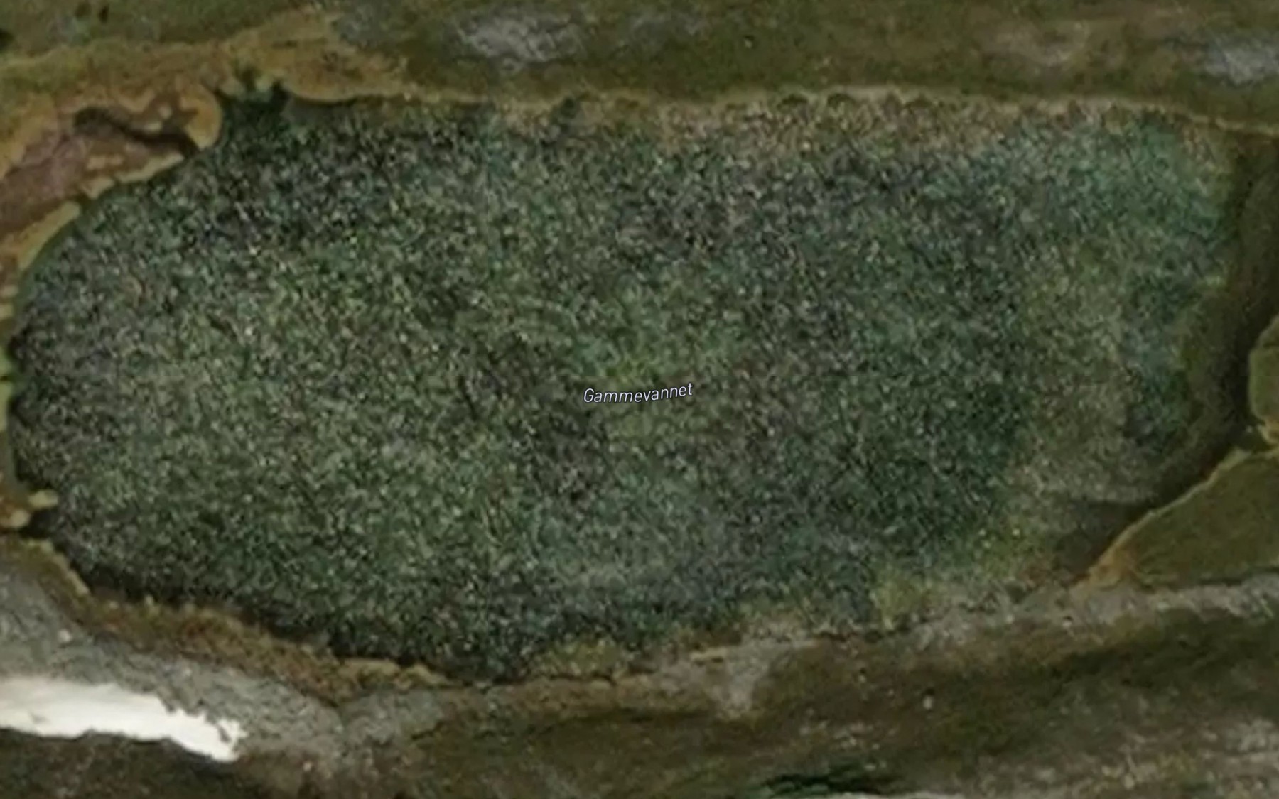 Satellite map of the Gammevannet