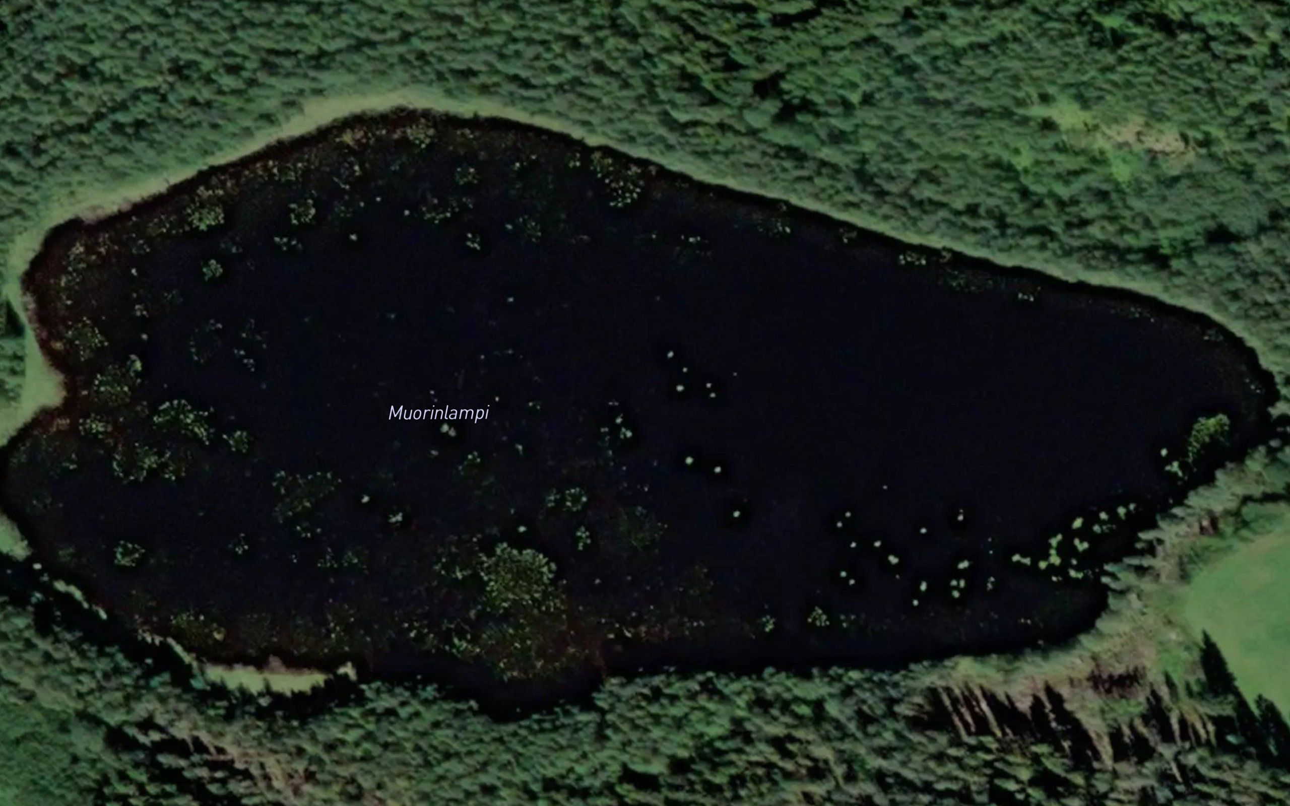 Muorinlampi