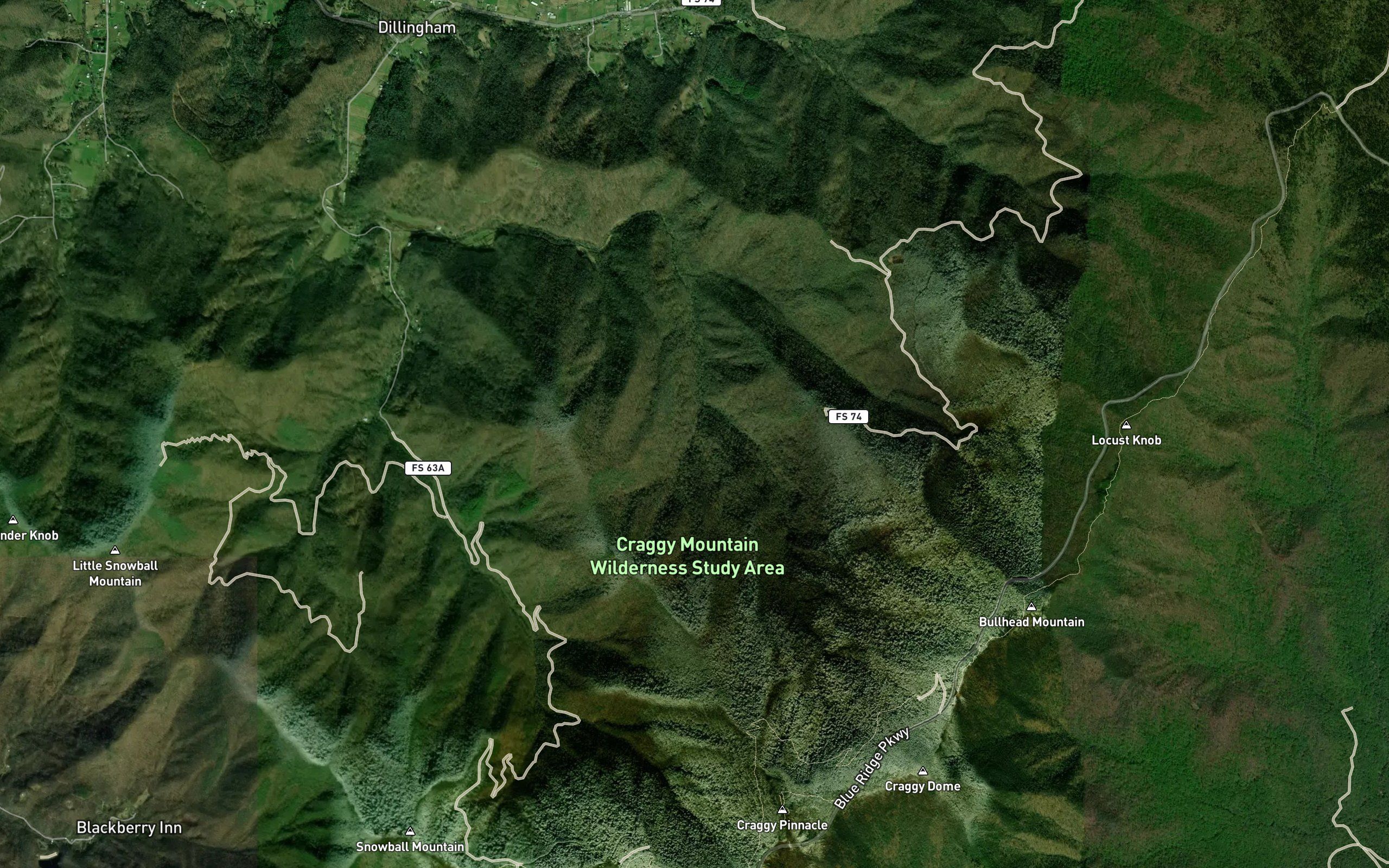 Bearwallow Branch