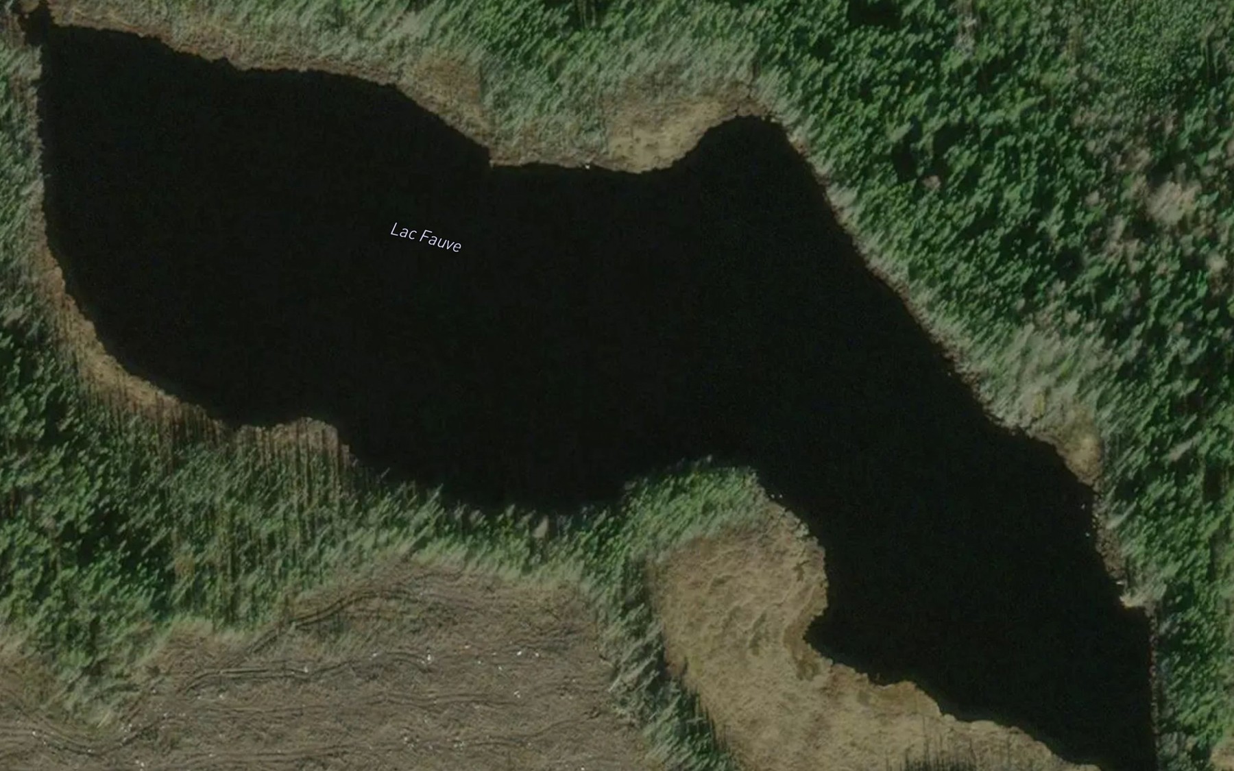 Satellite map of the Lac Fauve