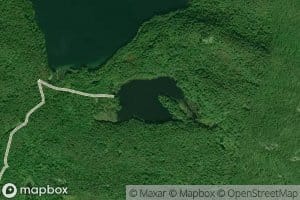 Lilypad Lake