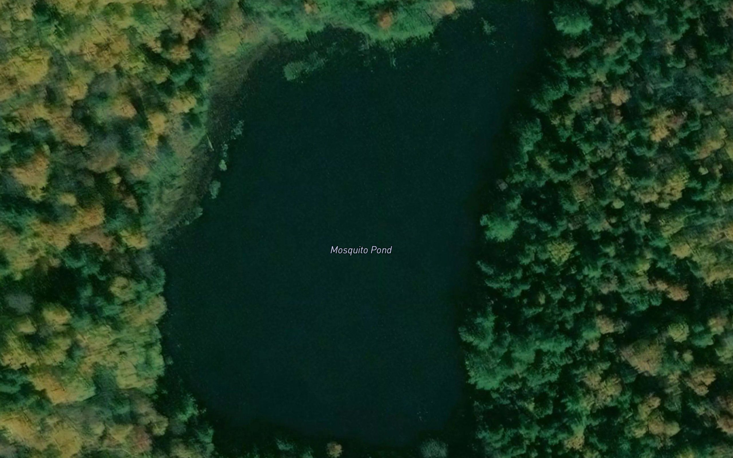 Mosquito Pond