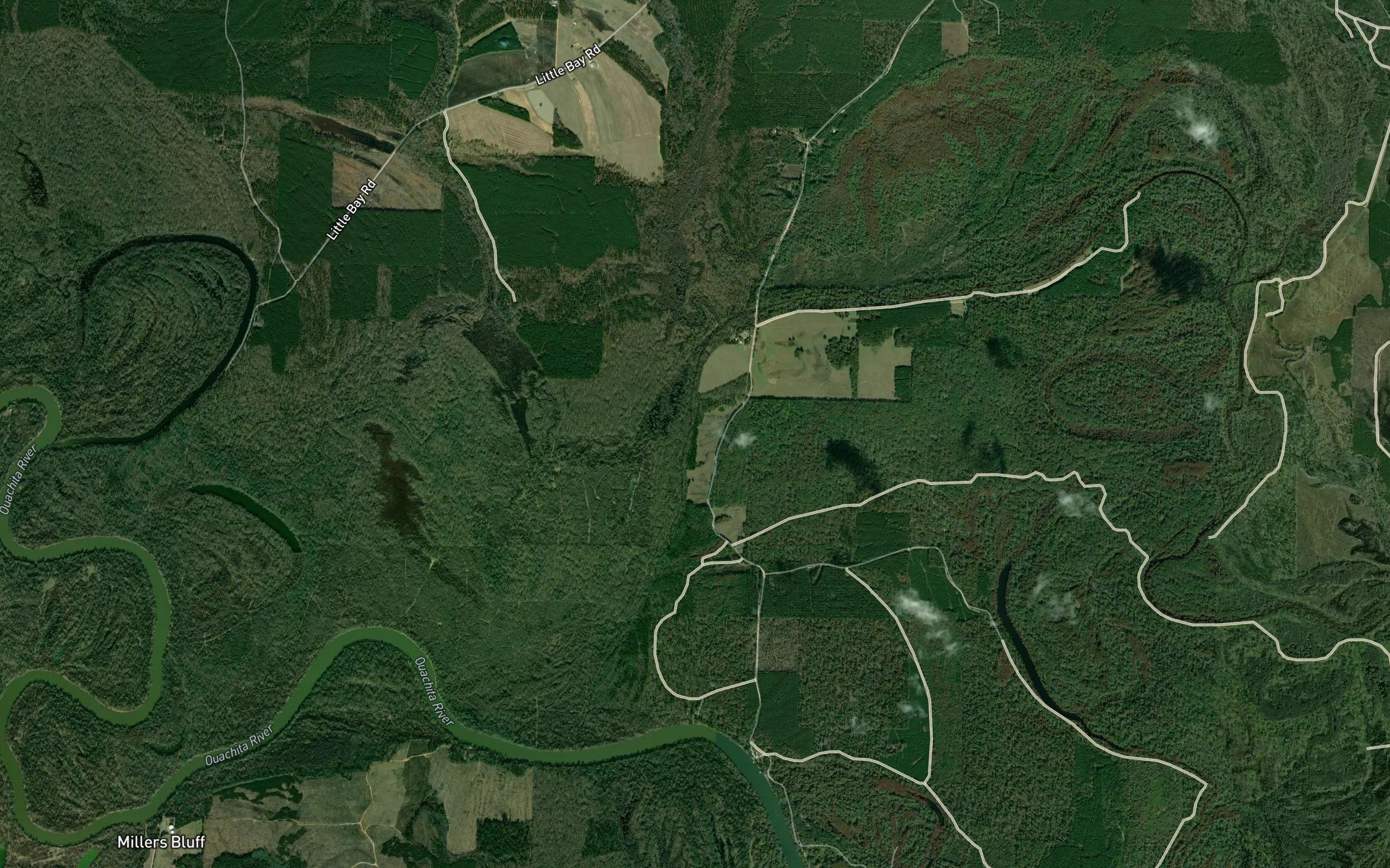 Mayner Branch
