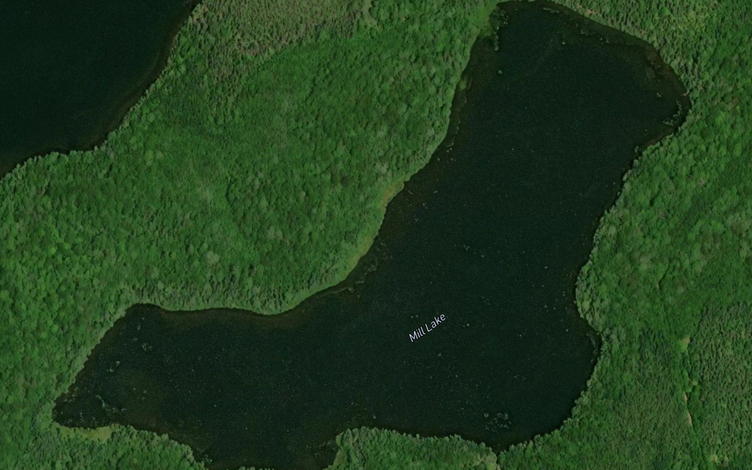 Mill Lake