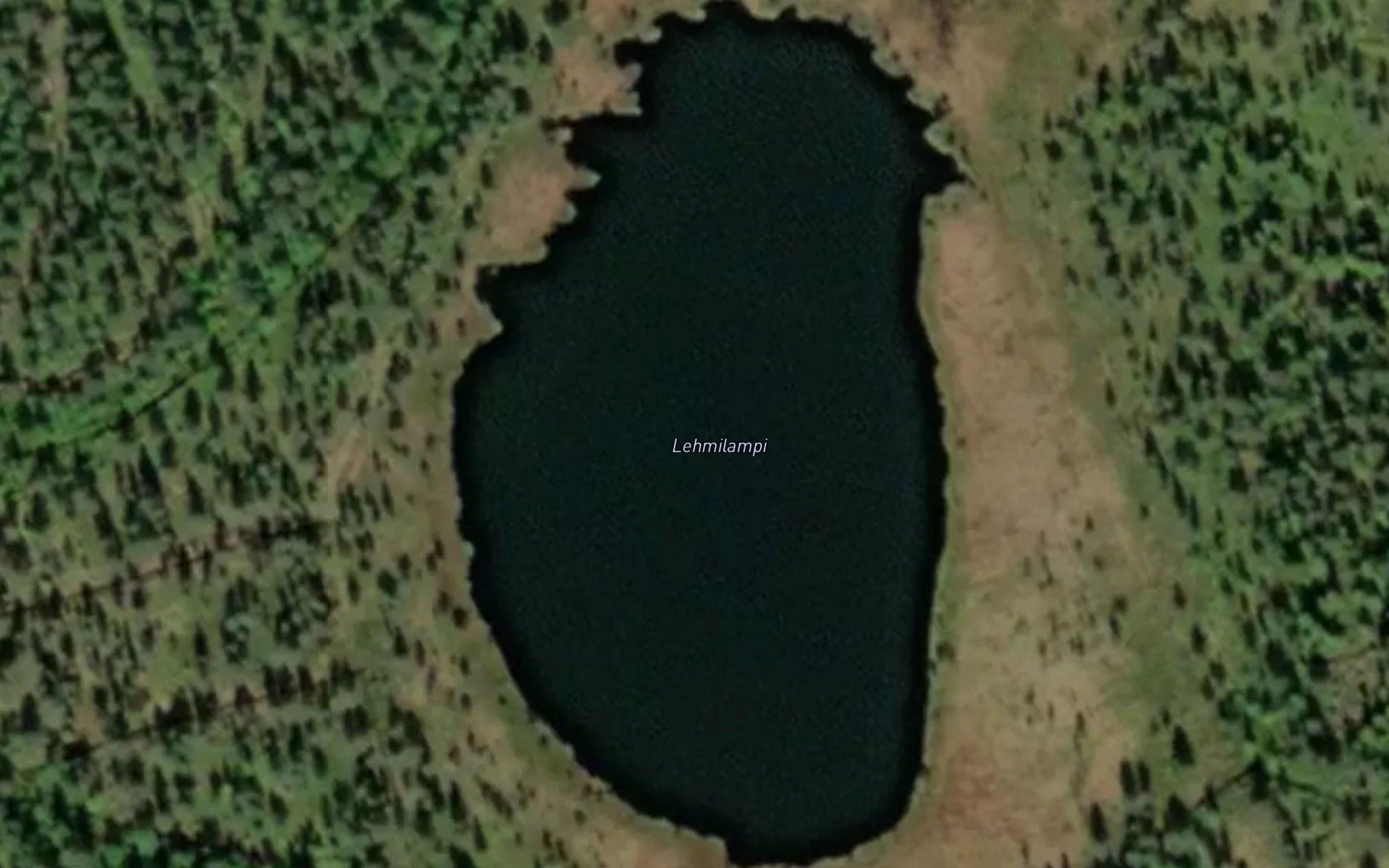 Lehmilampi