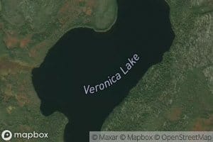 Veronica Lake
