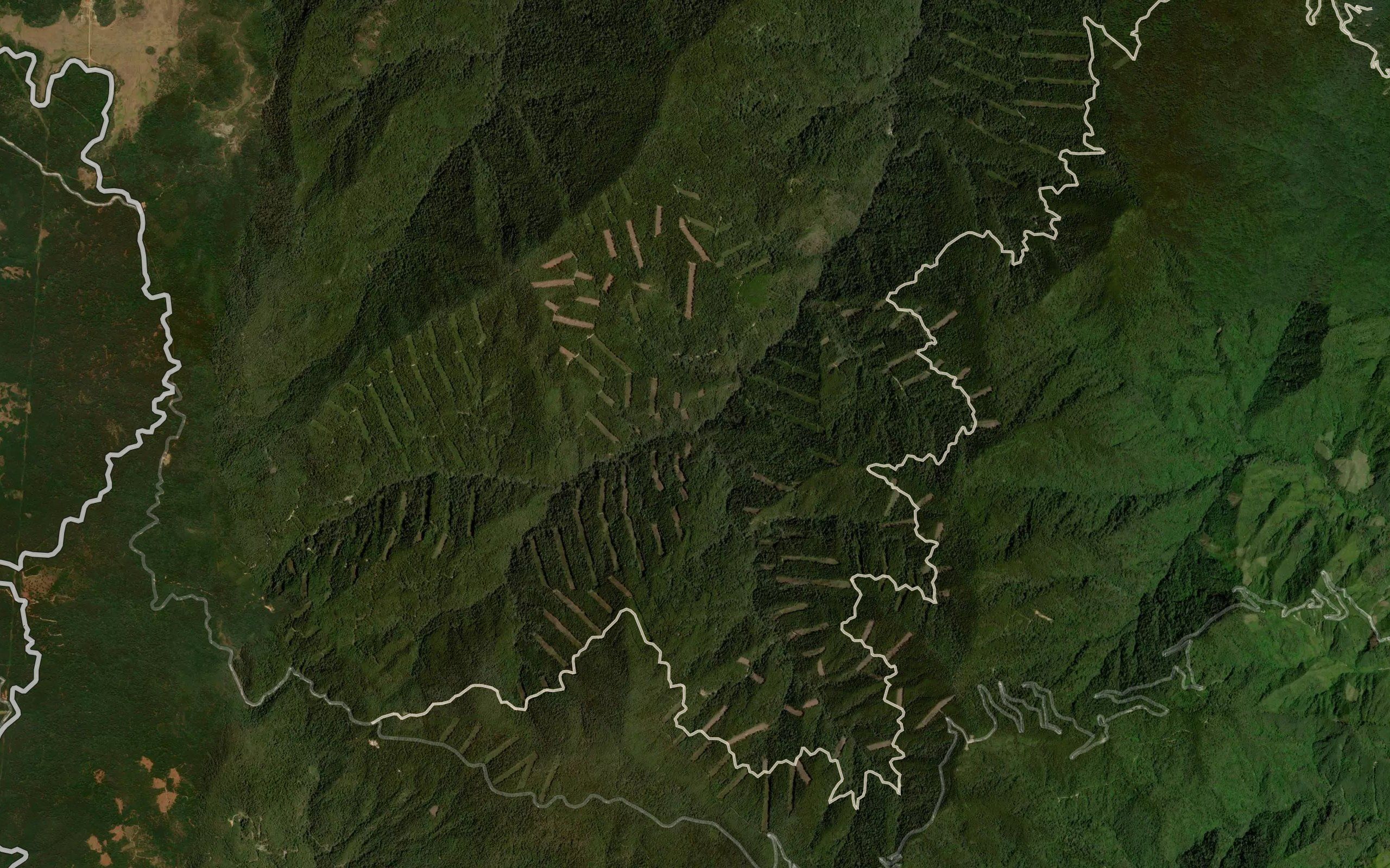 La Ranita