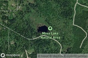 Moss Lake