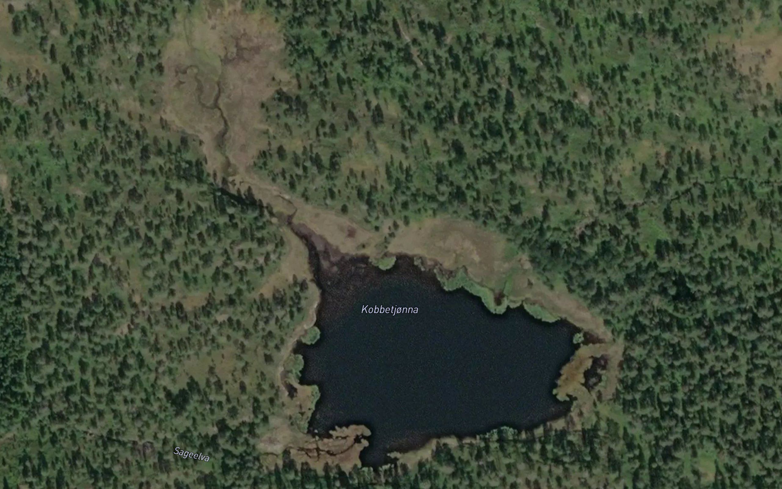 Kobbetjorna