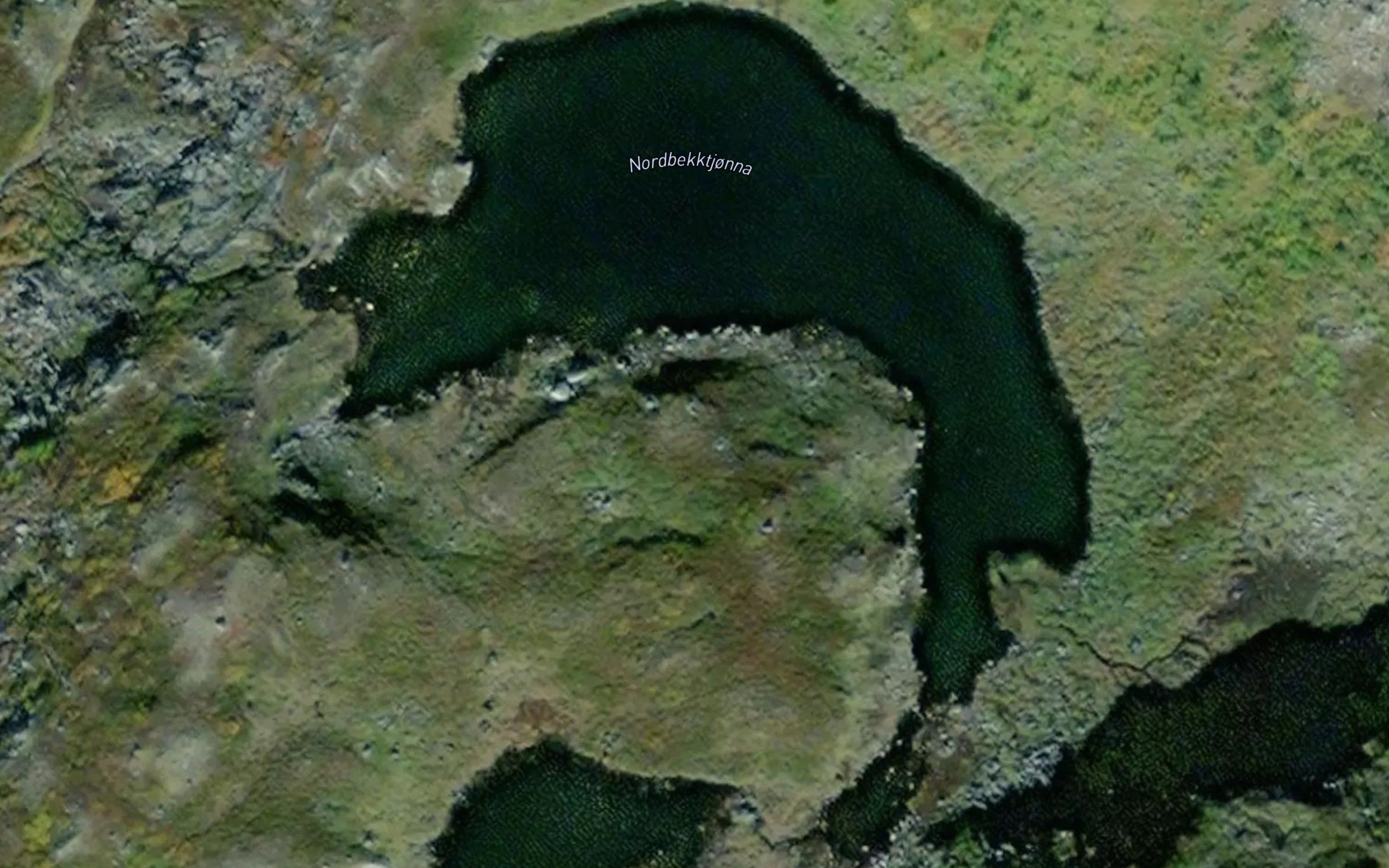 Nordbekktjorna