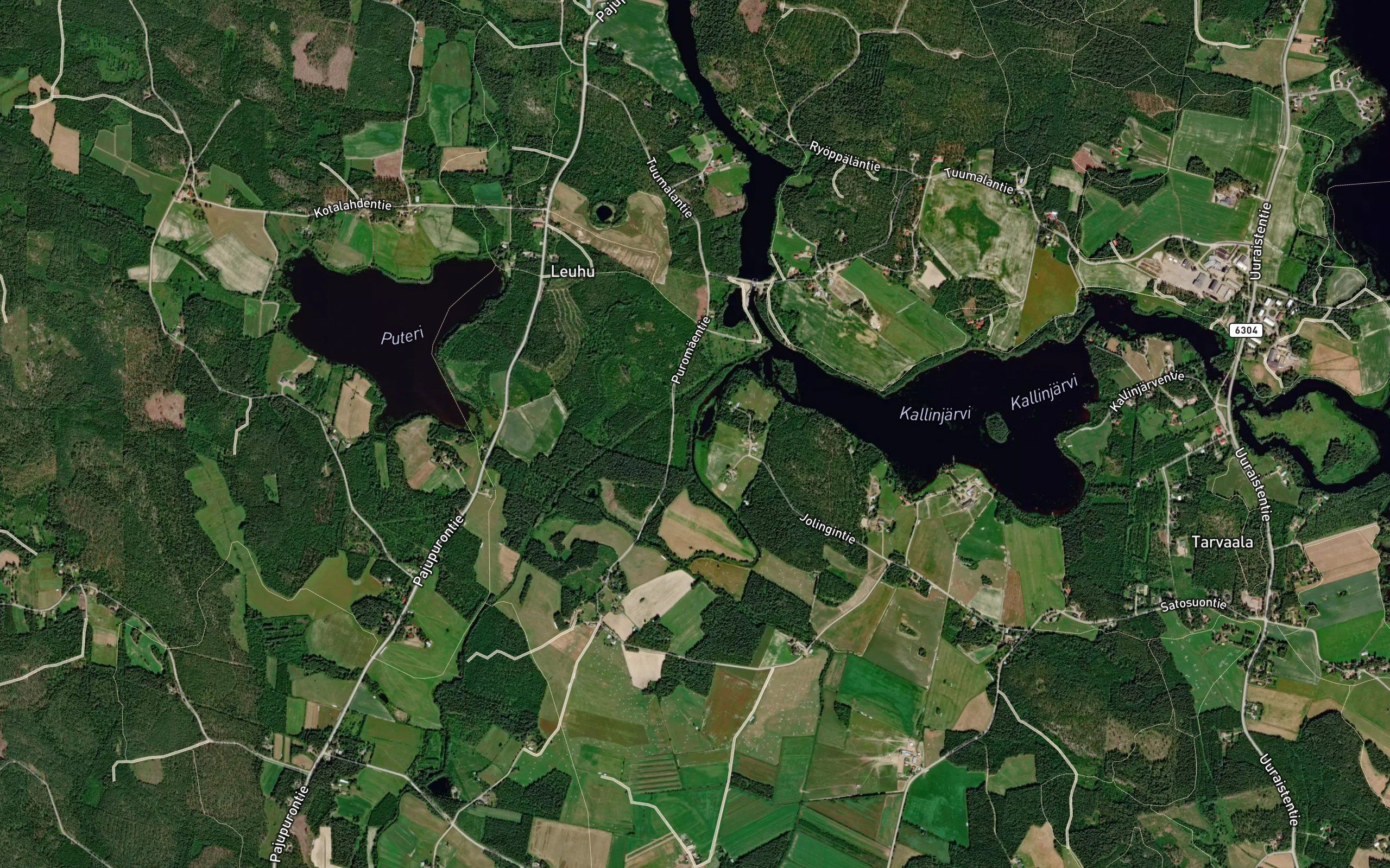 Murronjoki