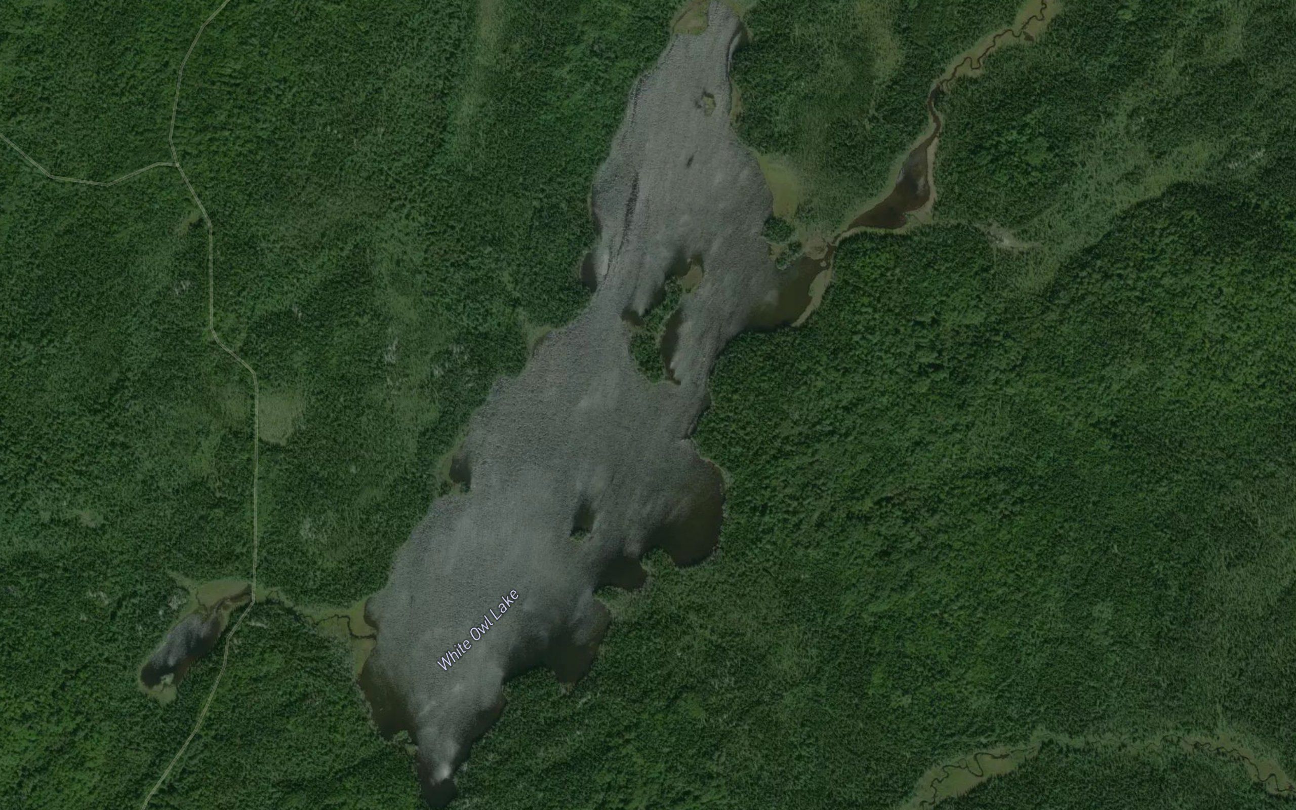 White Owl Lake