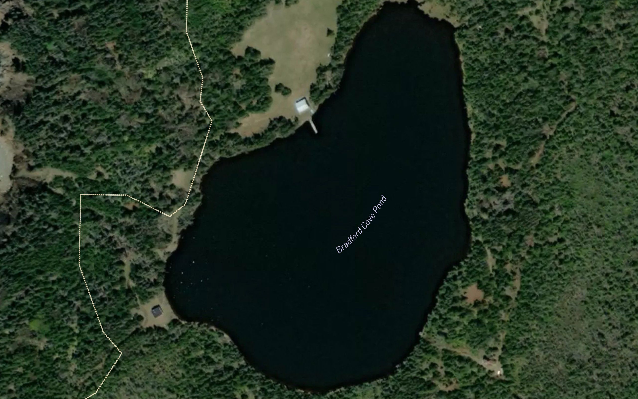Bradford Cove Pond