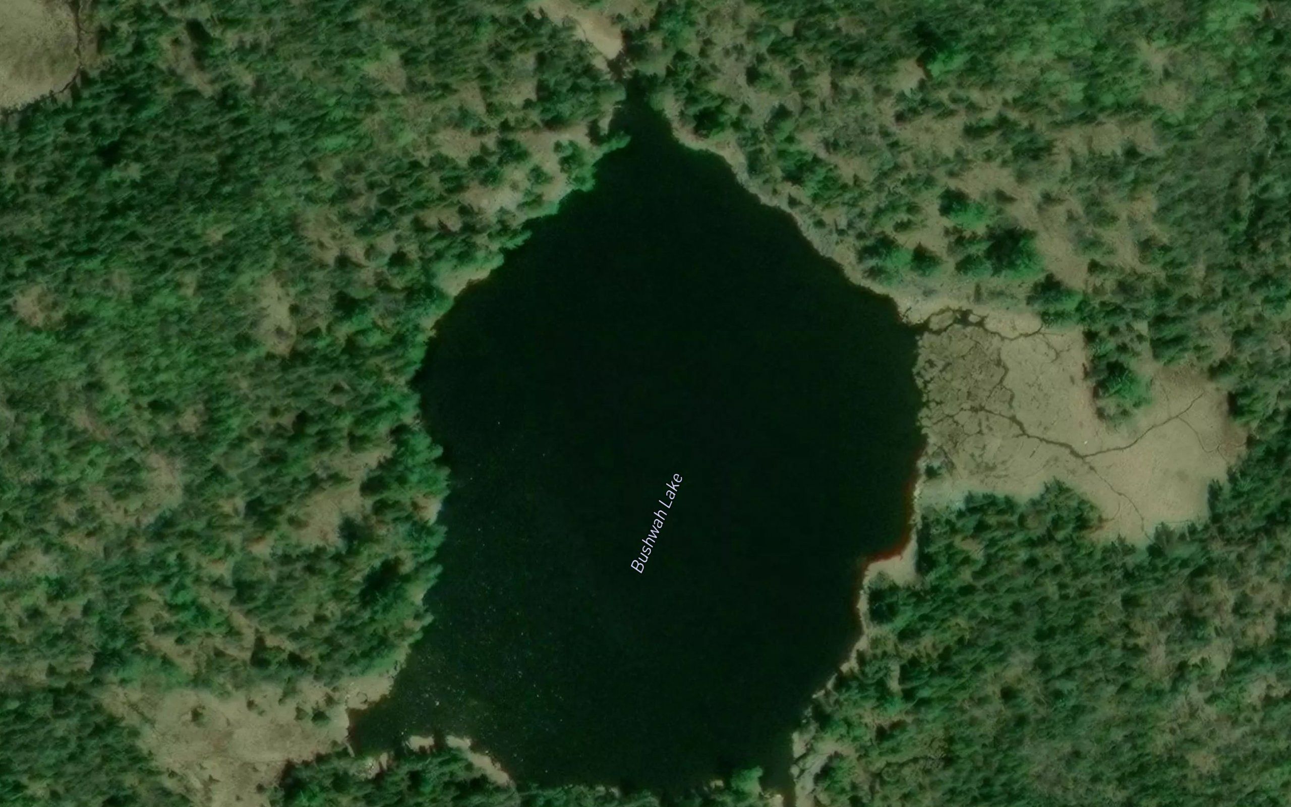 Bushwah Lake