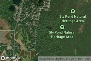Sly Ponds