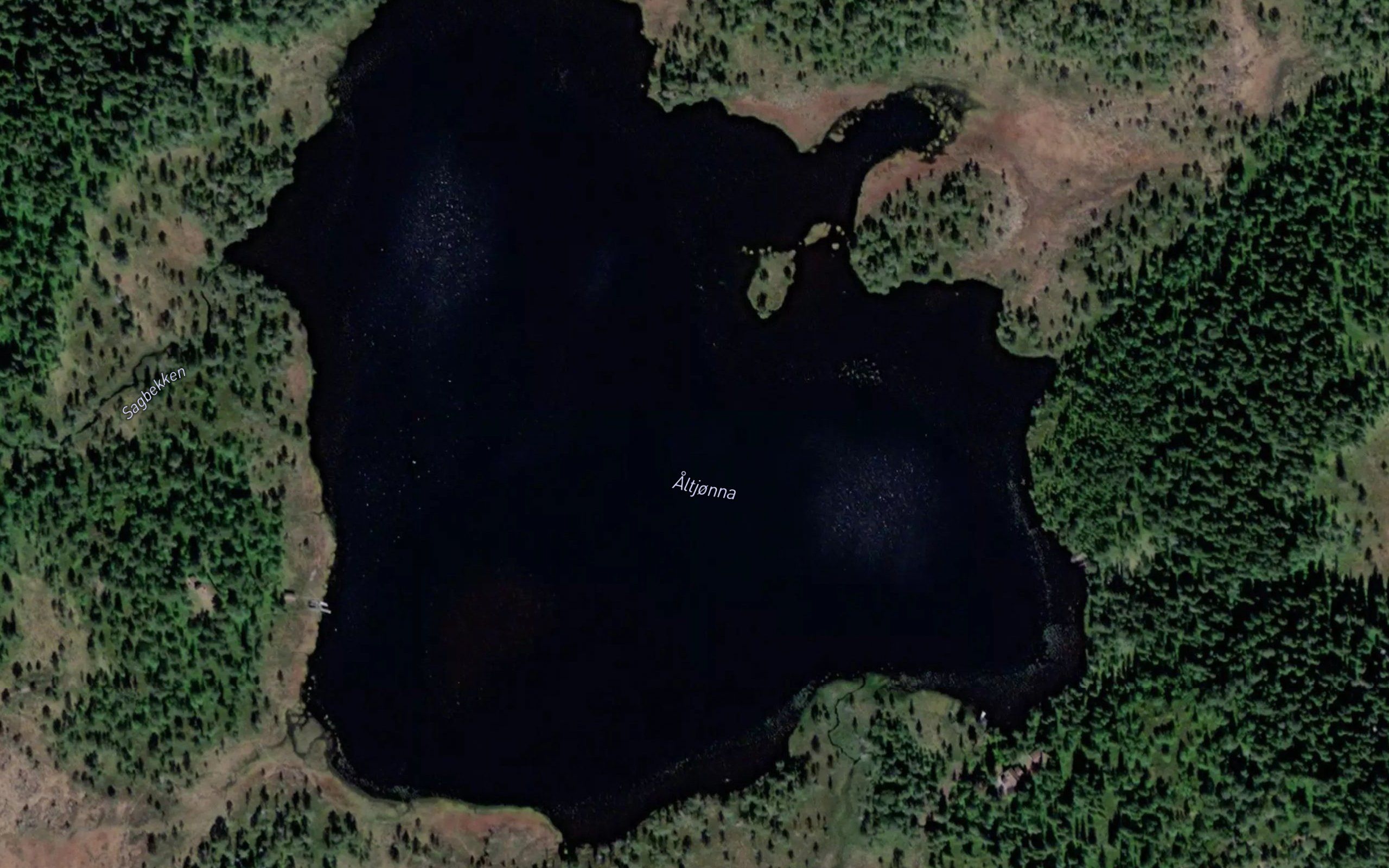 Altjorna