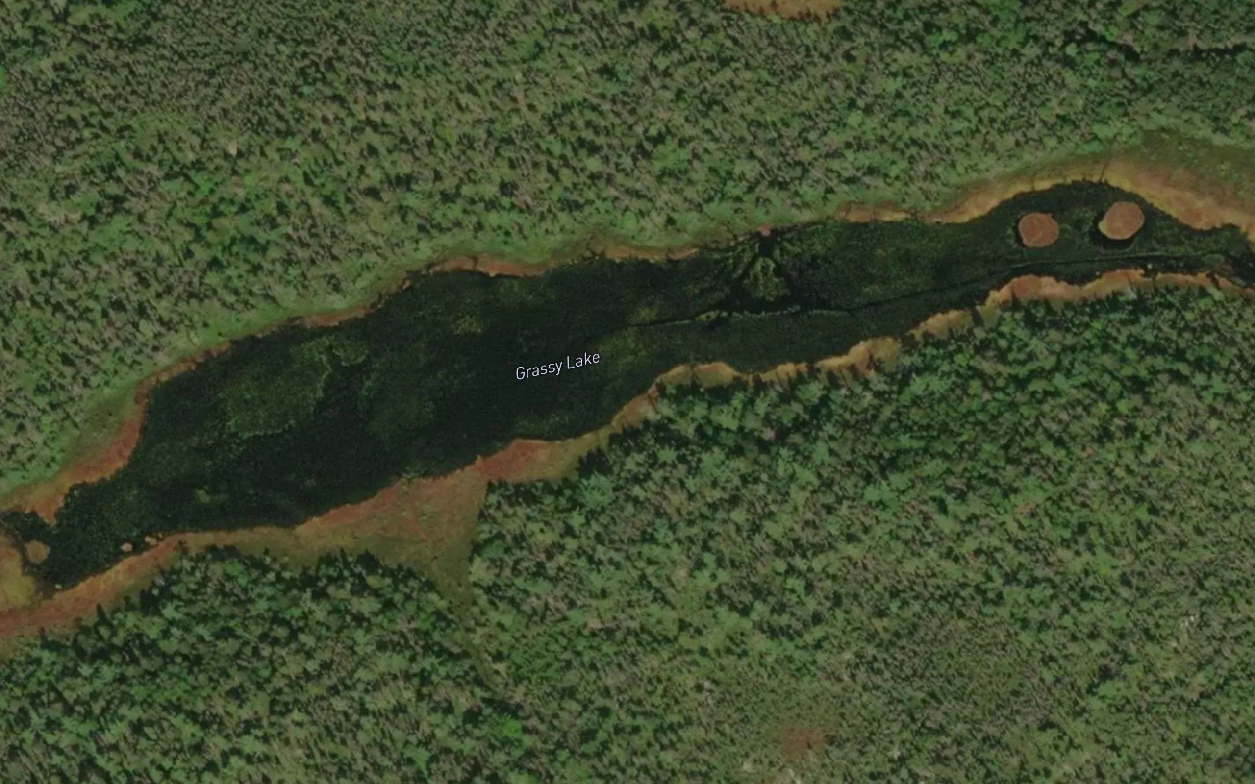 Grassy Lake