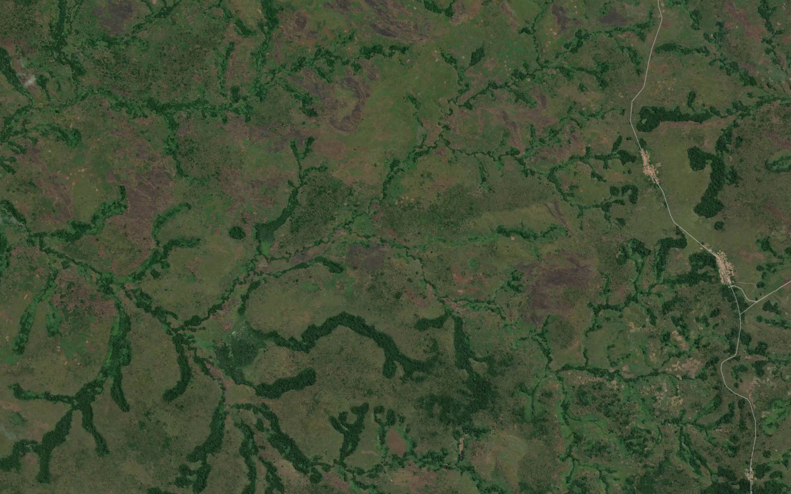 Ilunga