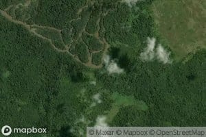 Igarape dos Filhotes