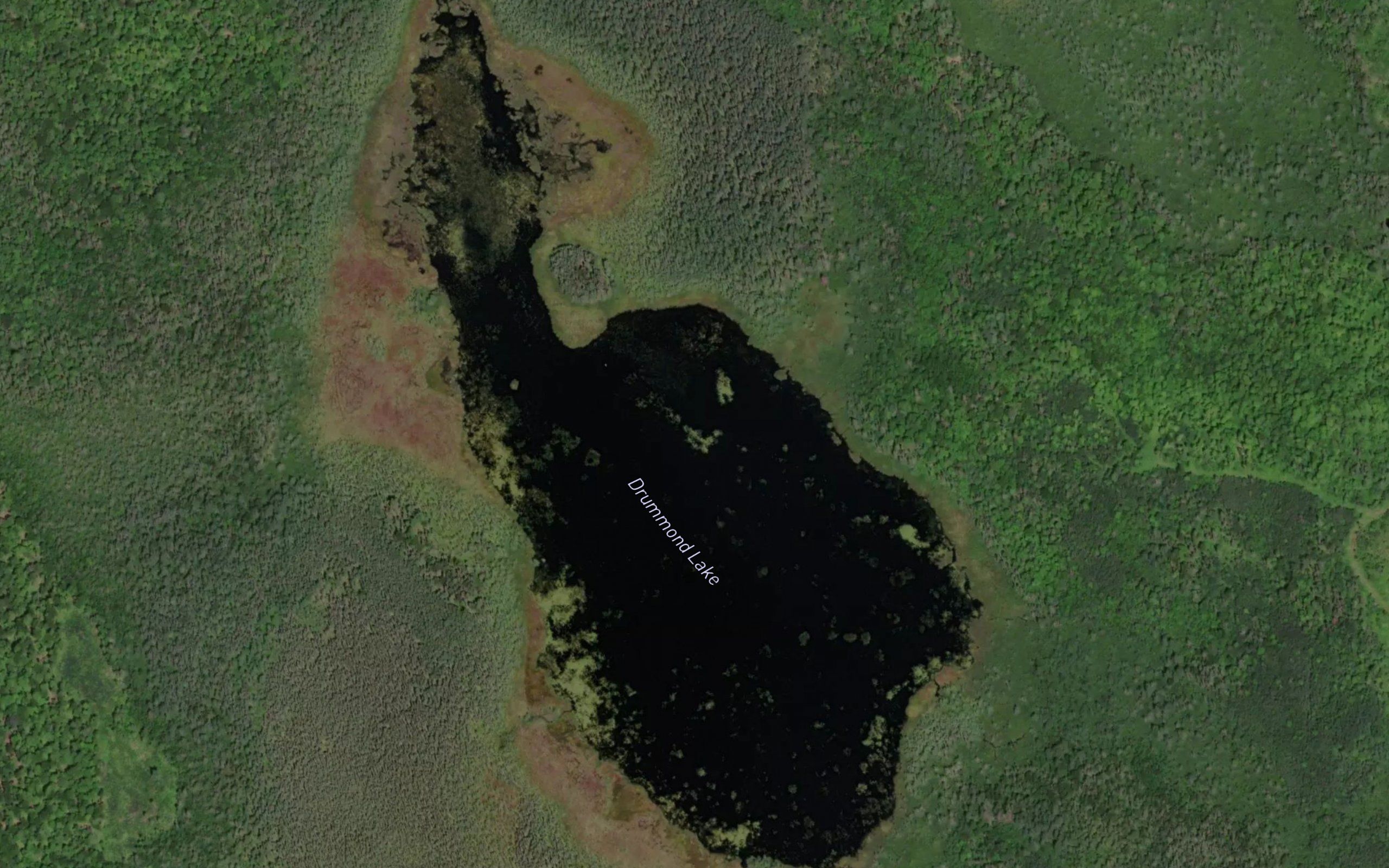 Drummond Lake