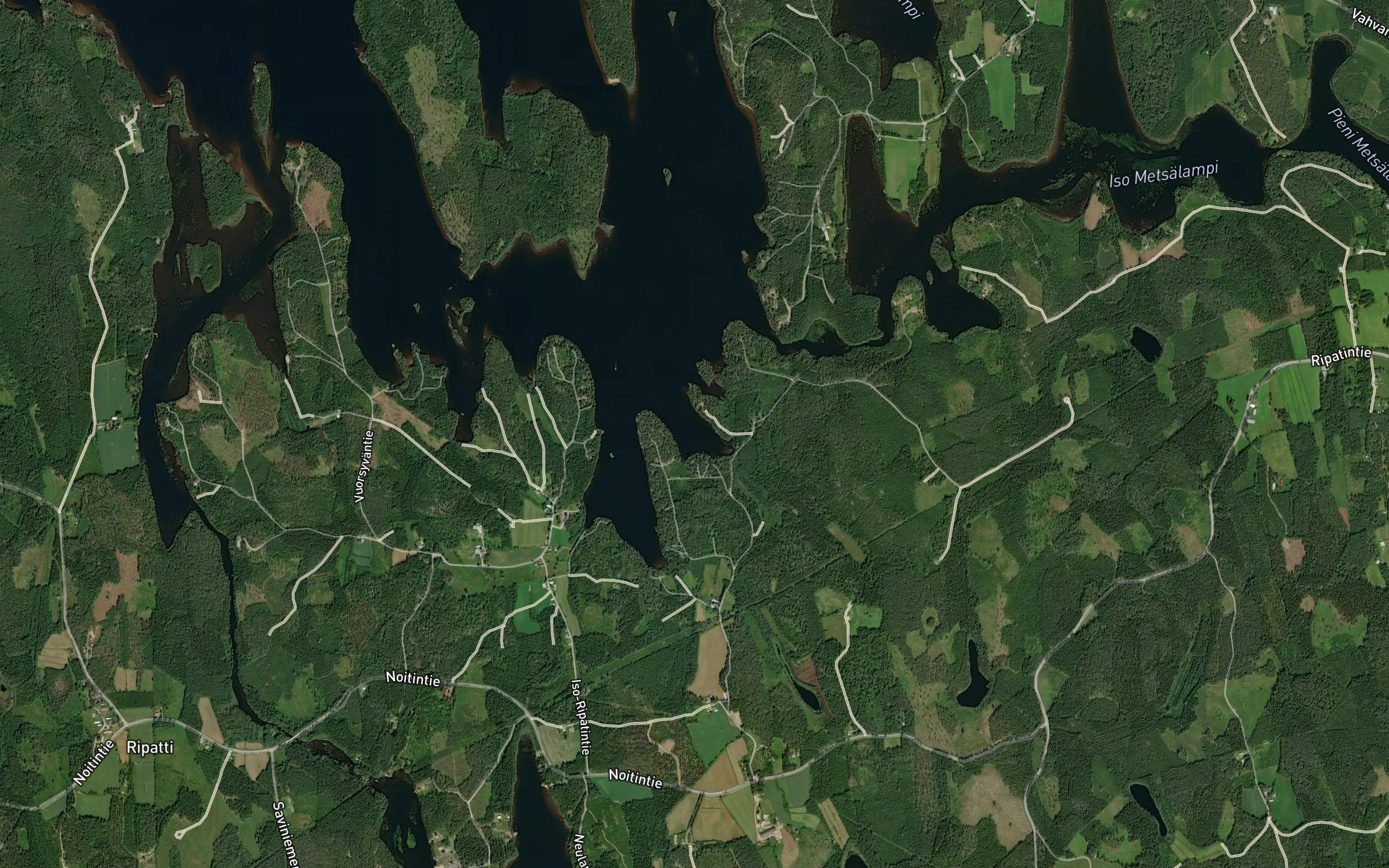 Haapalahti