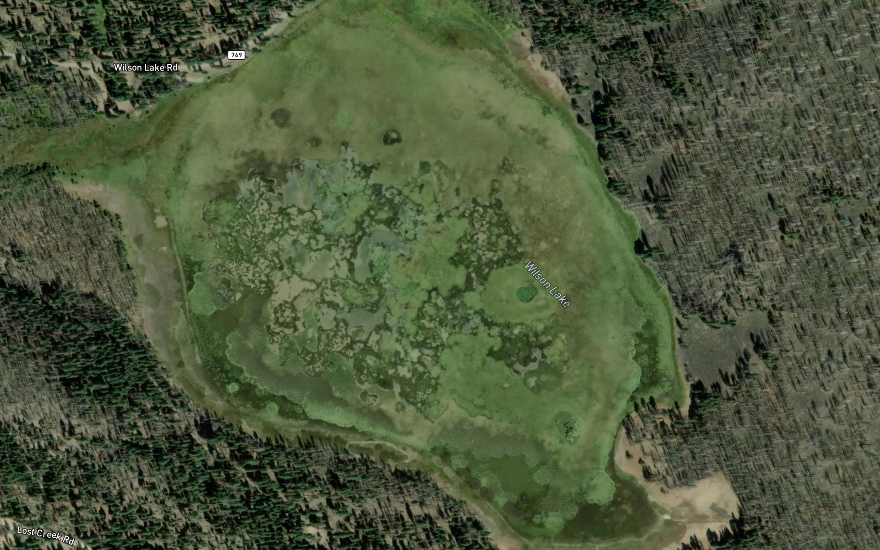 Satellite map of the Wilson Lake