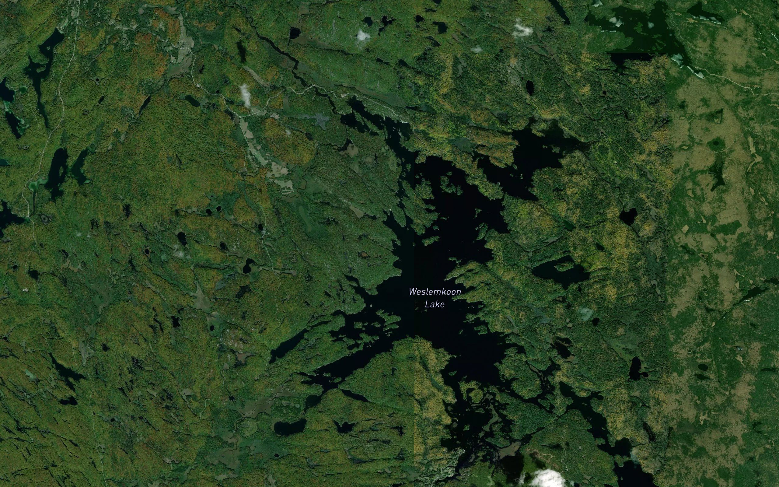 Weslemkoon Lake