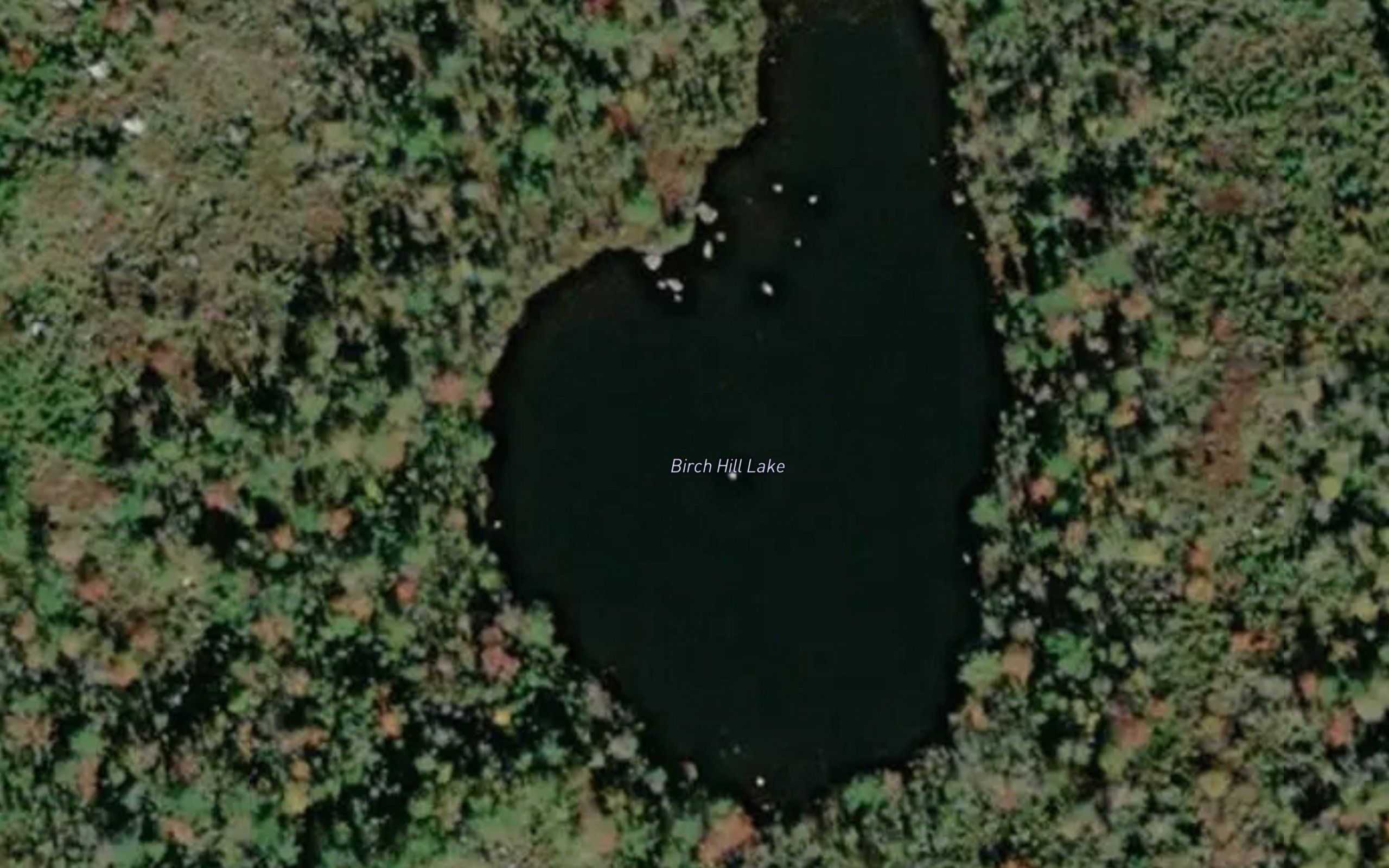 Birch Hill Lake