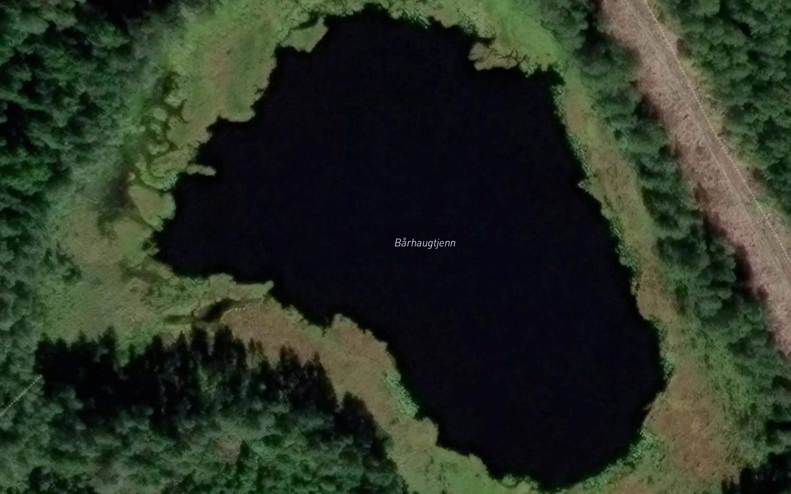 Barhaugtjernet