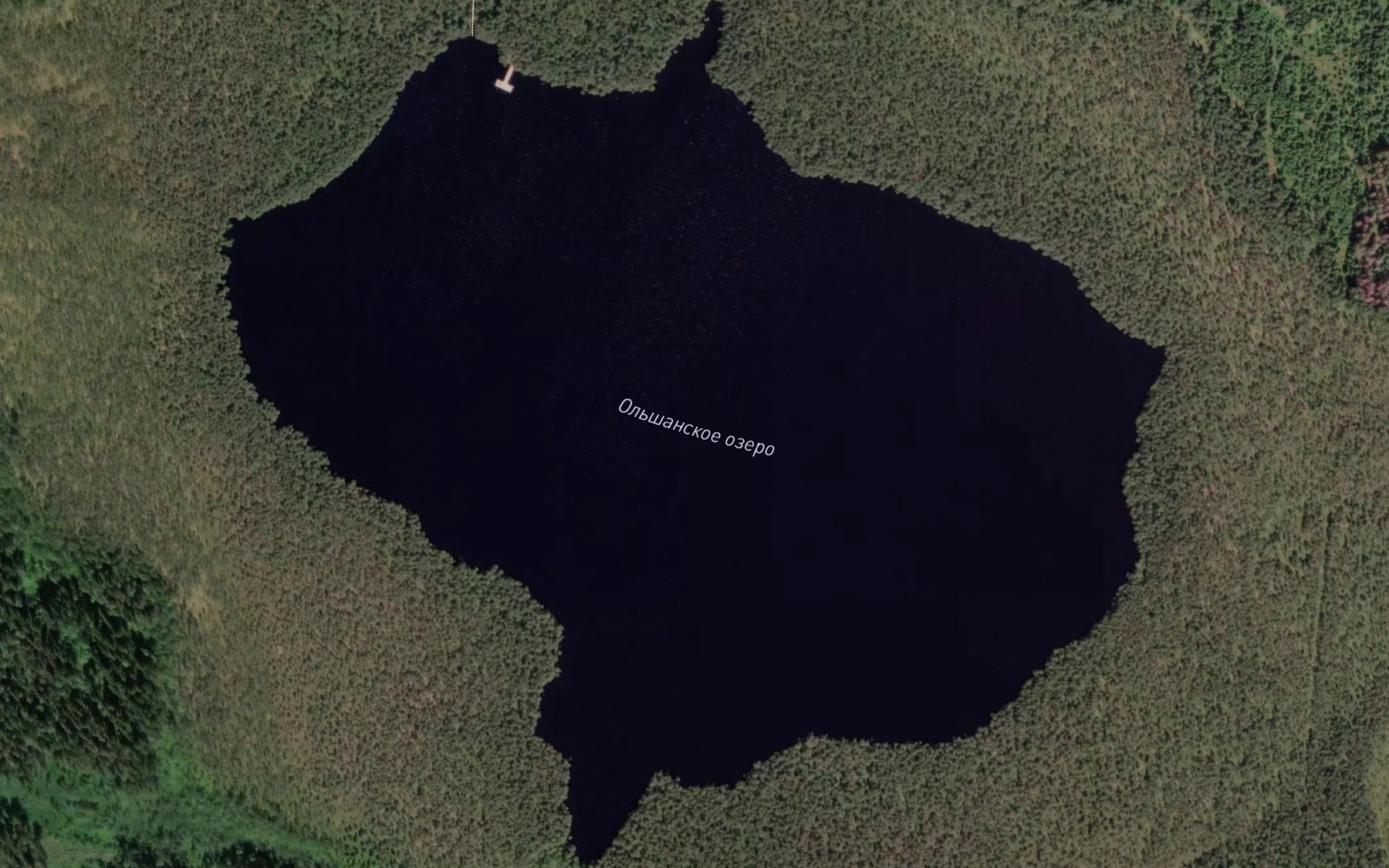 Satellite map of the Ozero Ol'shanskoye