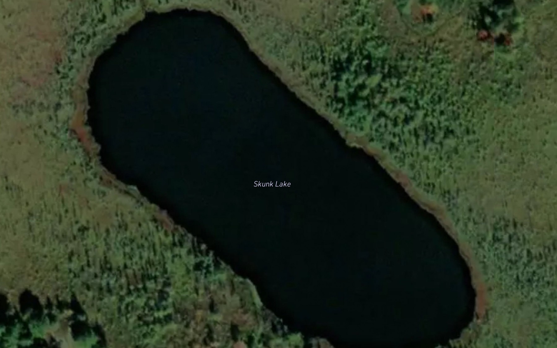 Satellite map of the Skunk Lake