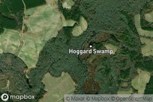 Bear Swamp