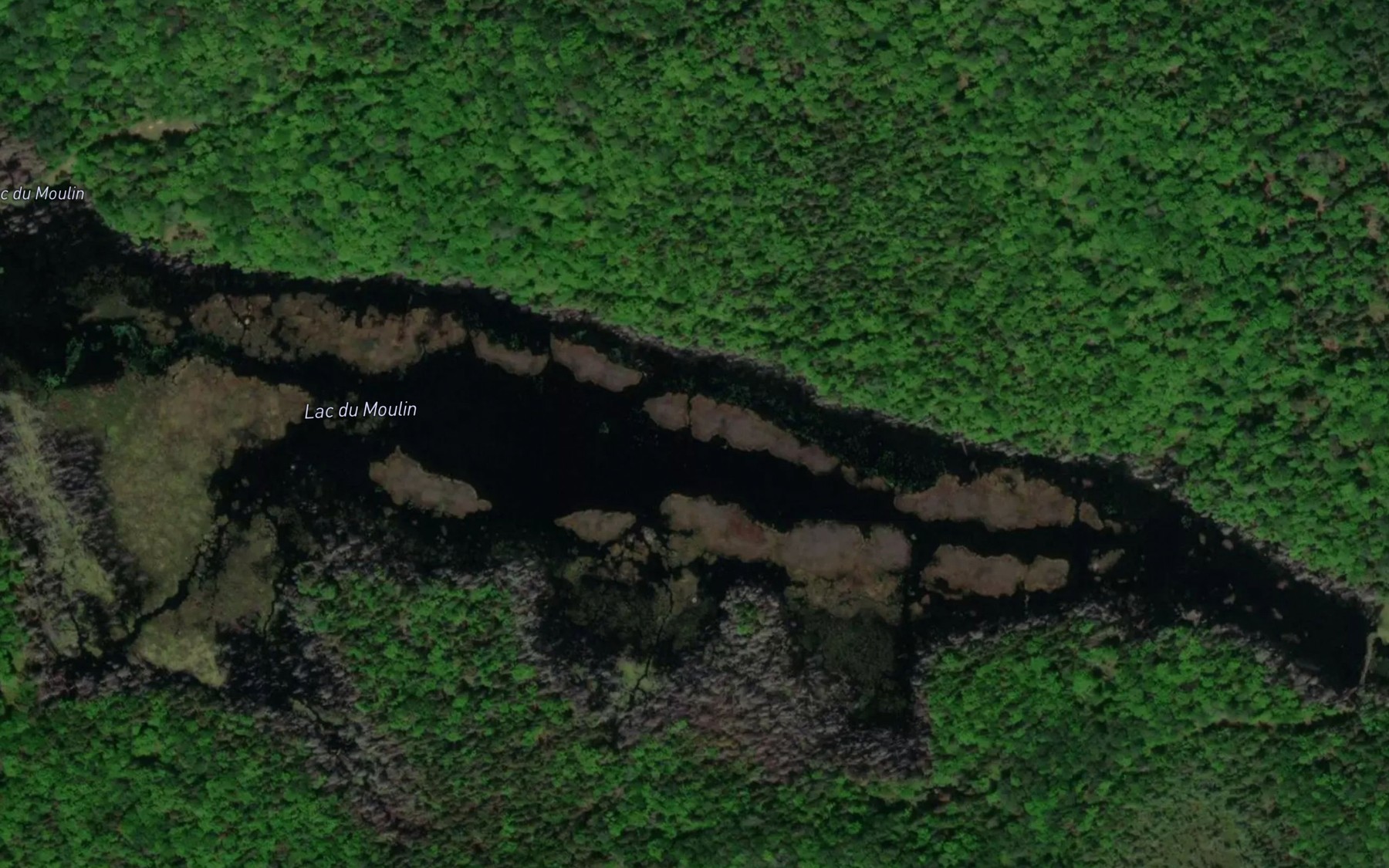 Satellite map of the Lac du Moulin