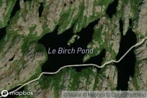 Le Birch Pond