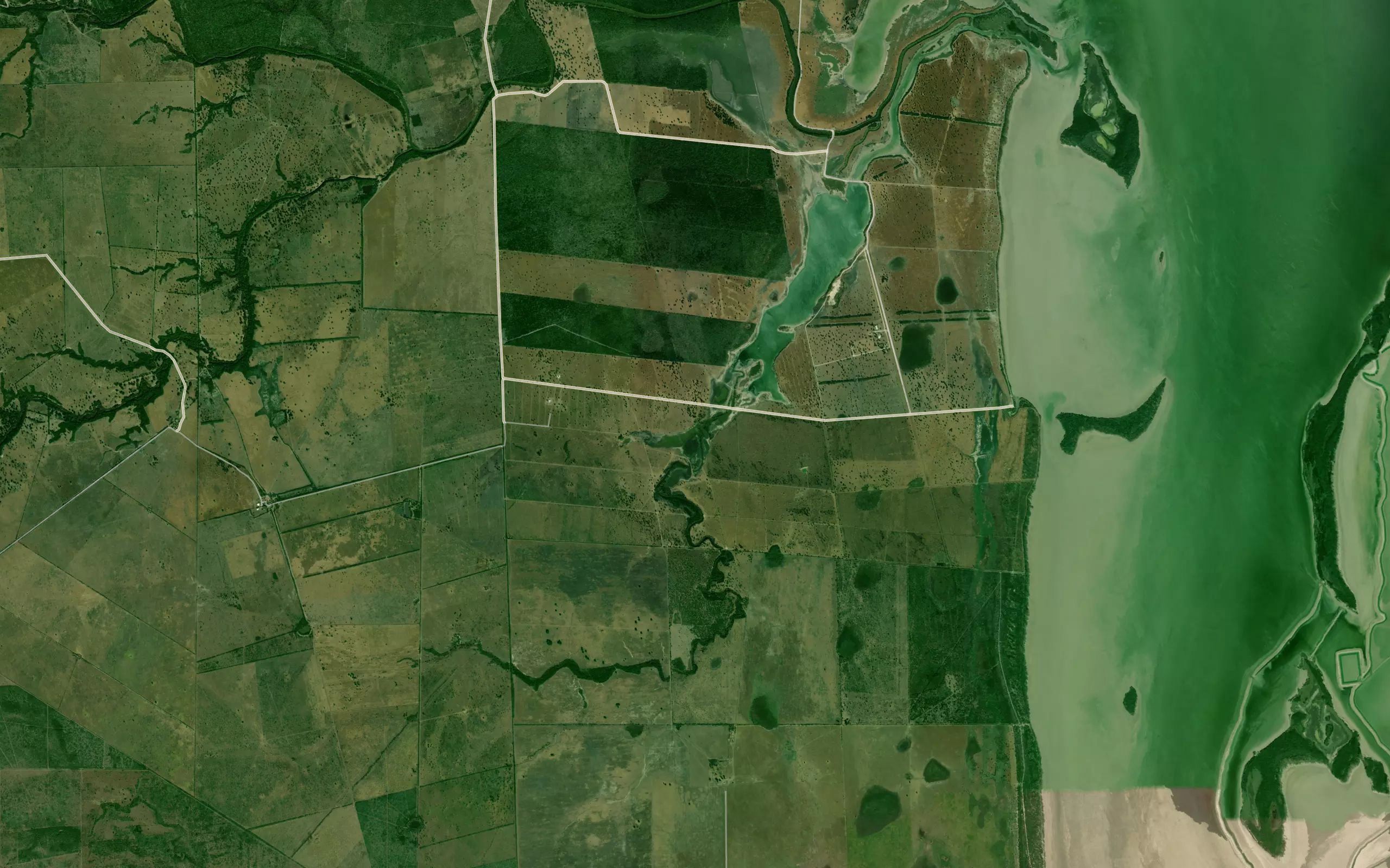 Laguna Hojas Anchas