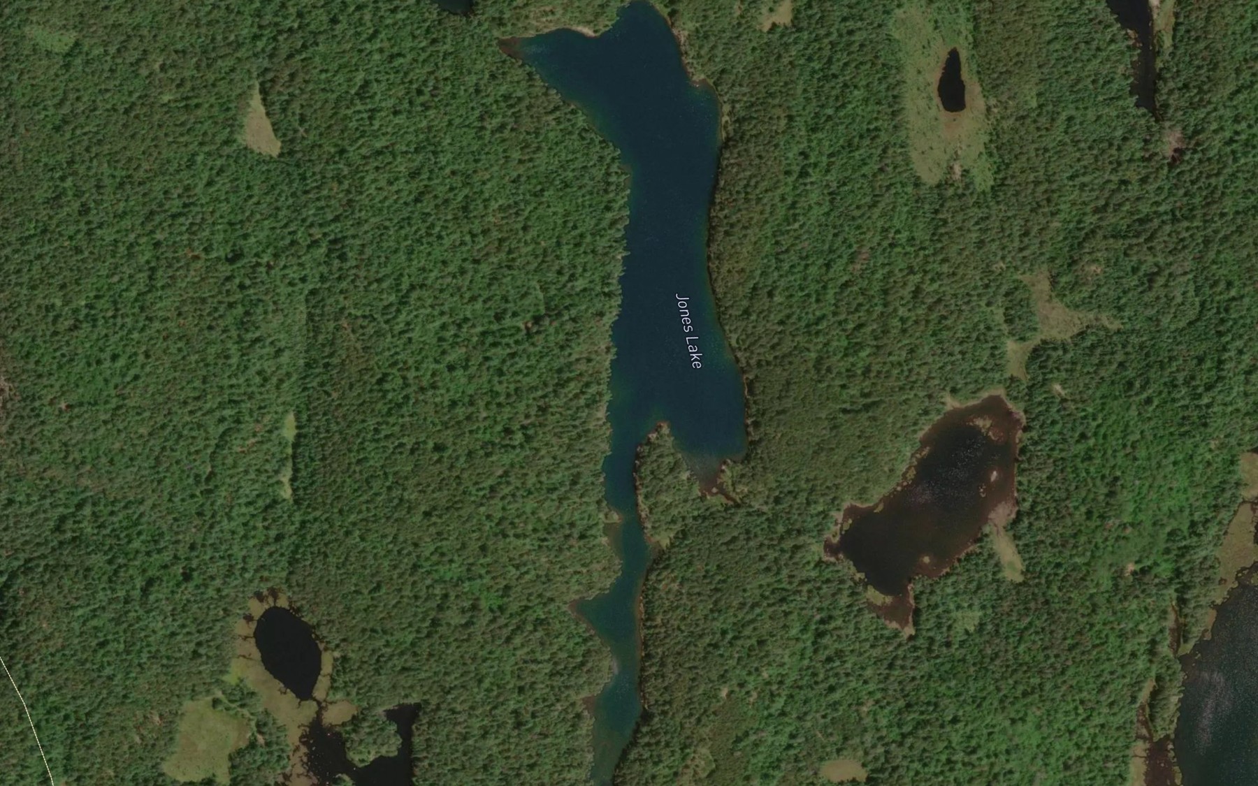 Satellite map of the Jones Lake