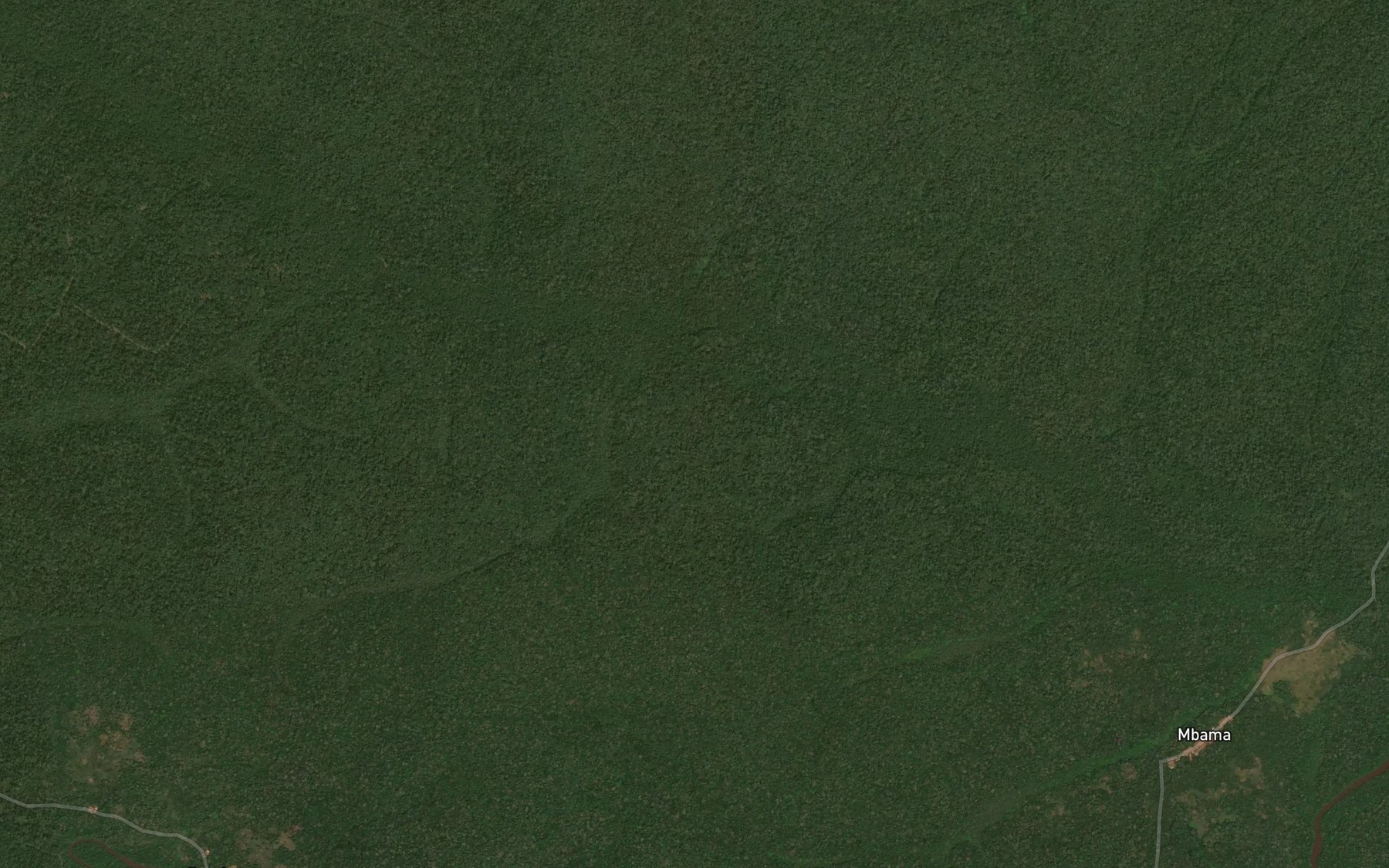 Satellite map of the Niamwose