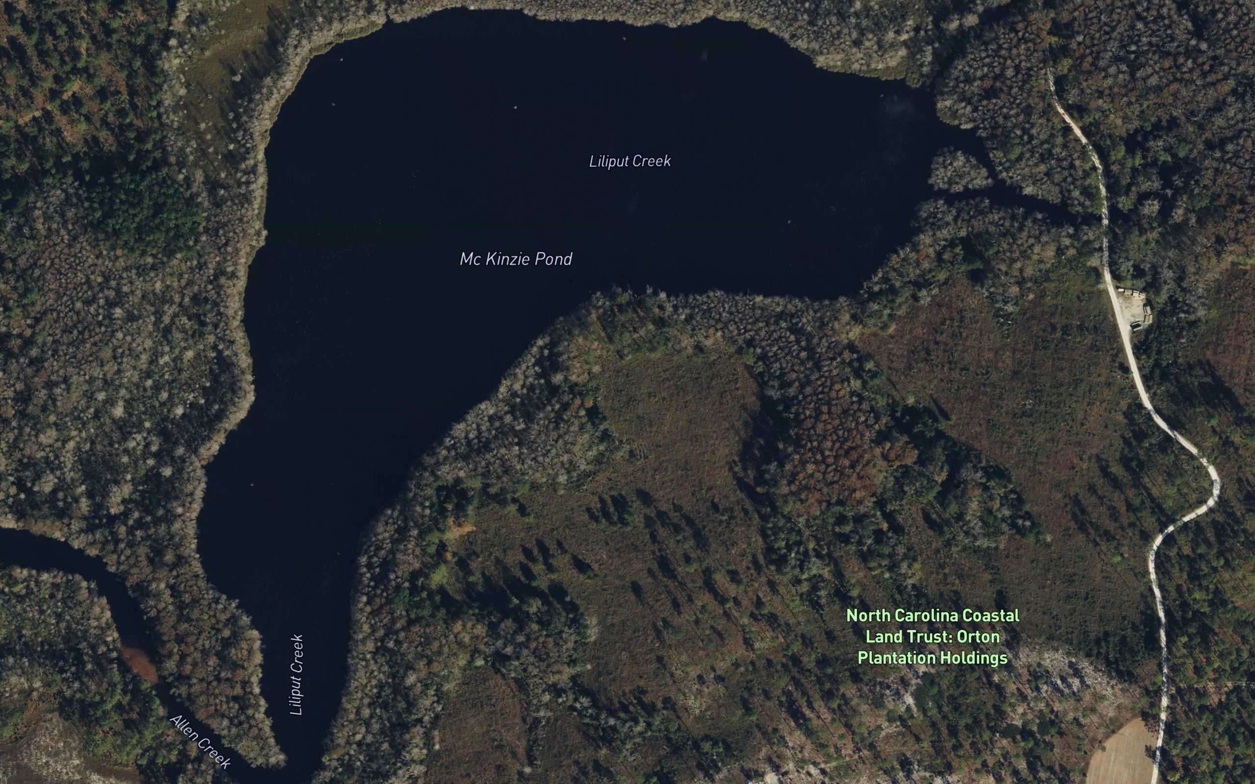Mc Kinzie Pond