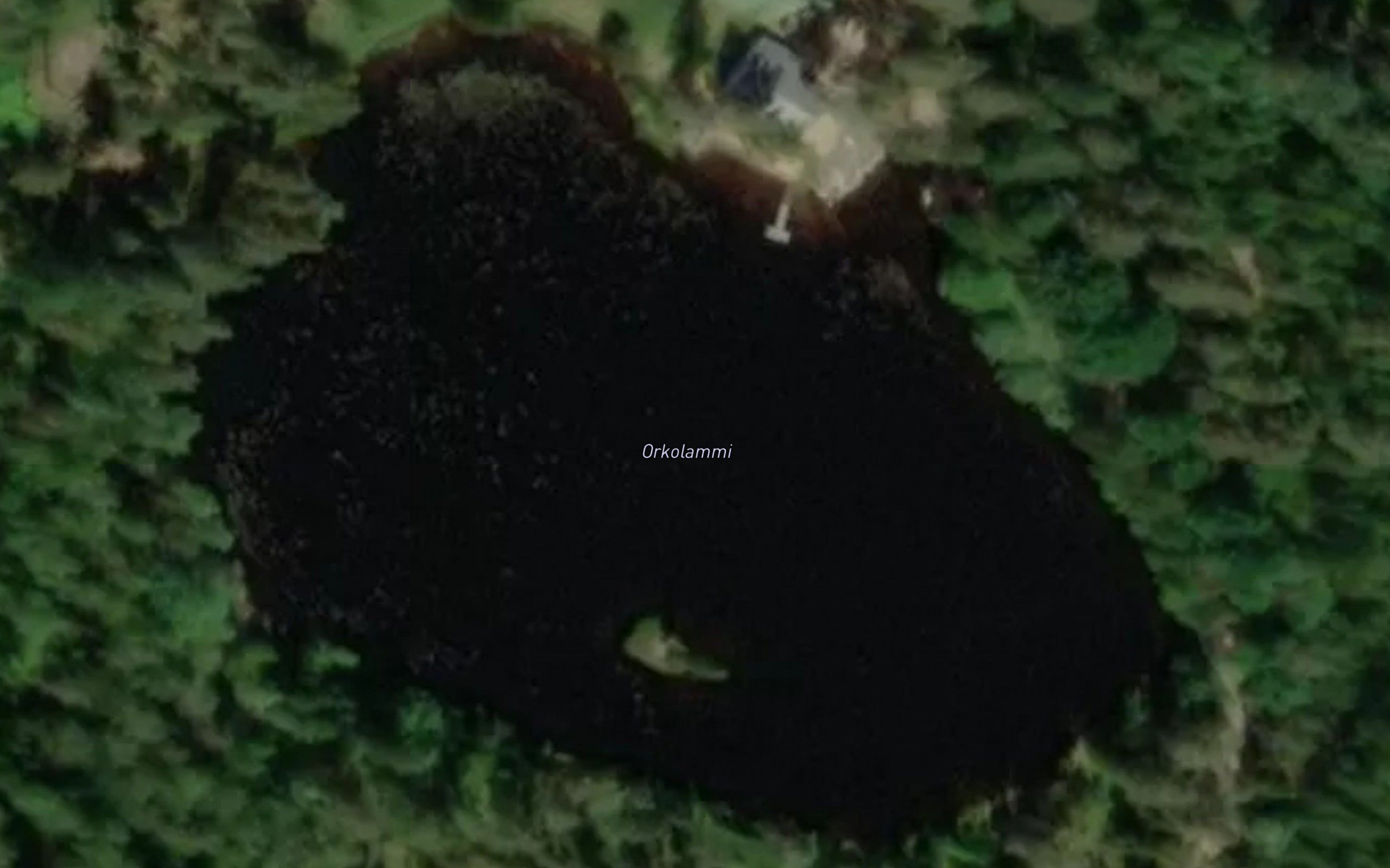 Orkolammi