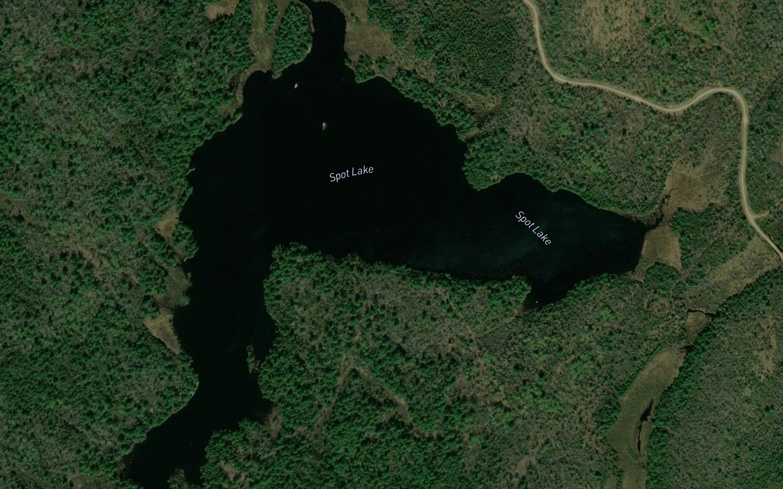 Spot Lake