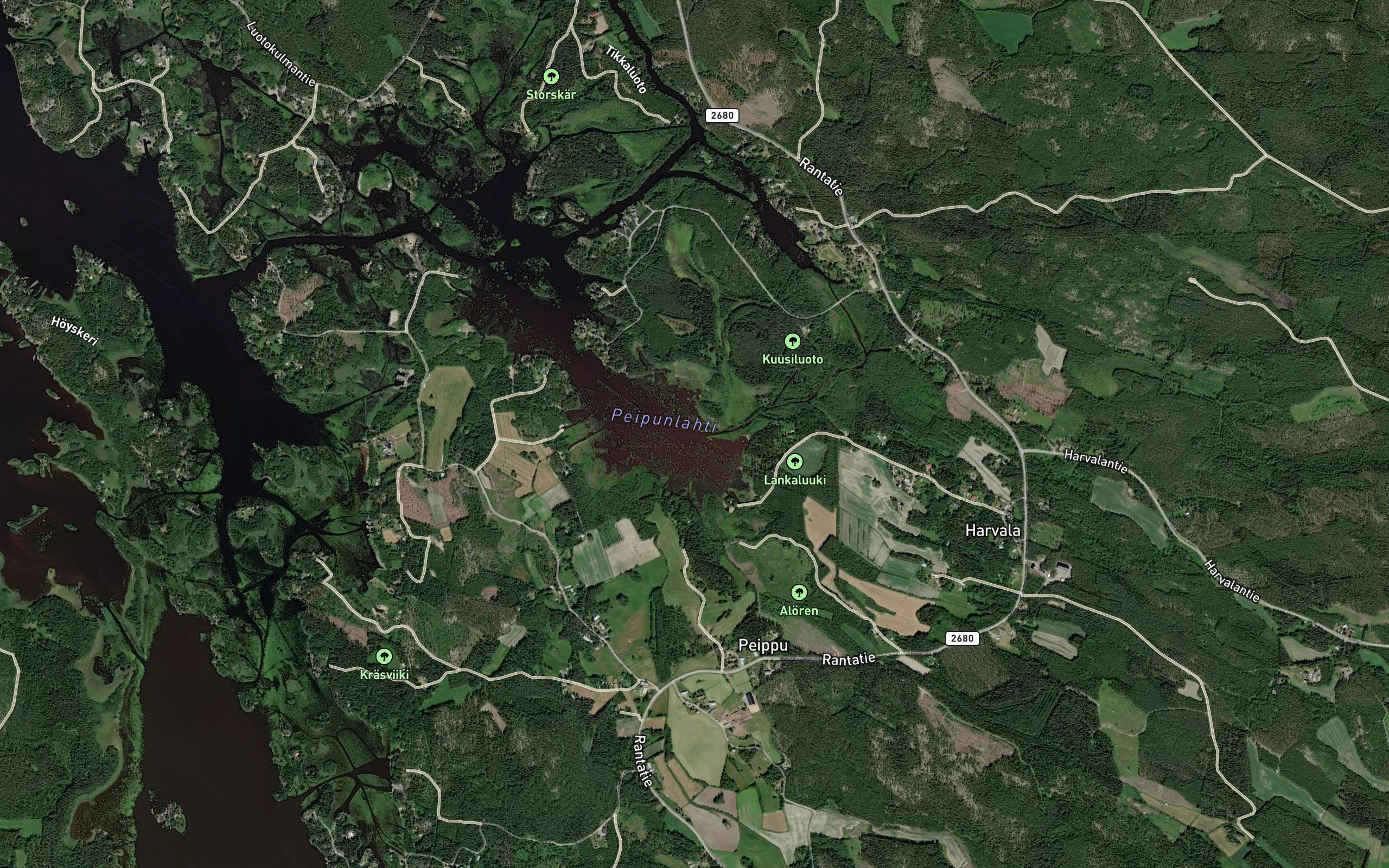 Silmaniitunoja