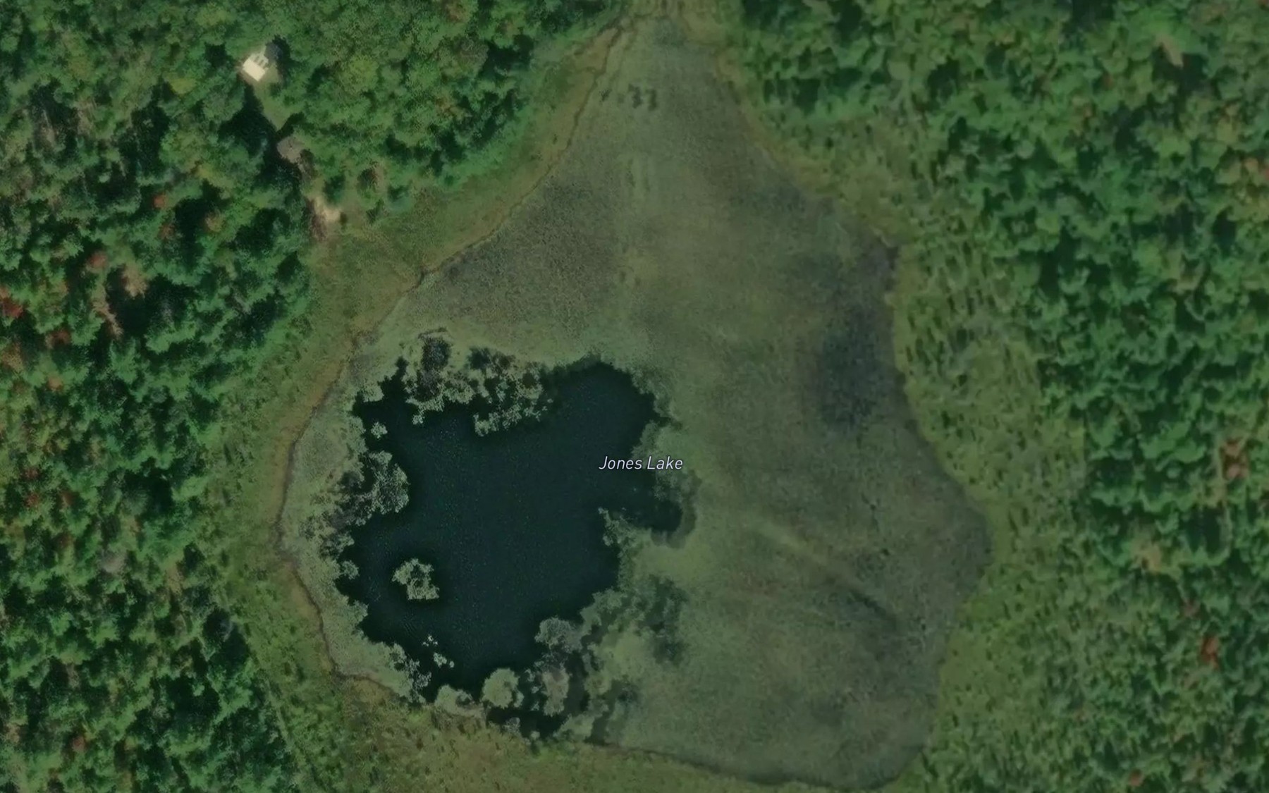 Satellite map of the Jones Lake