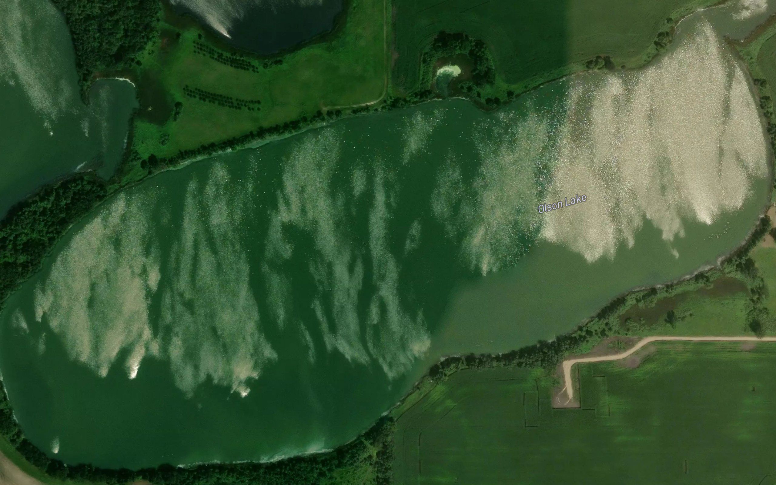 Olson Lake