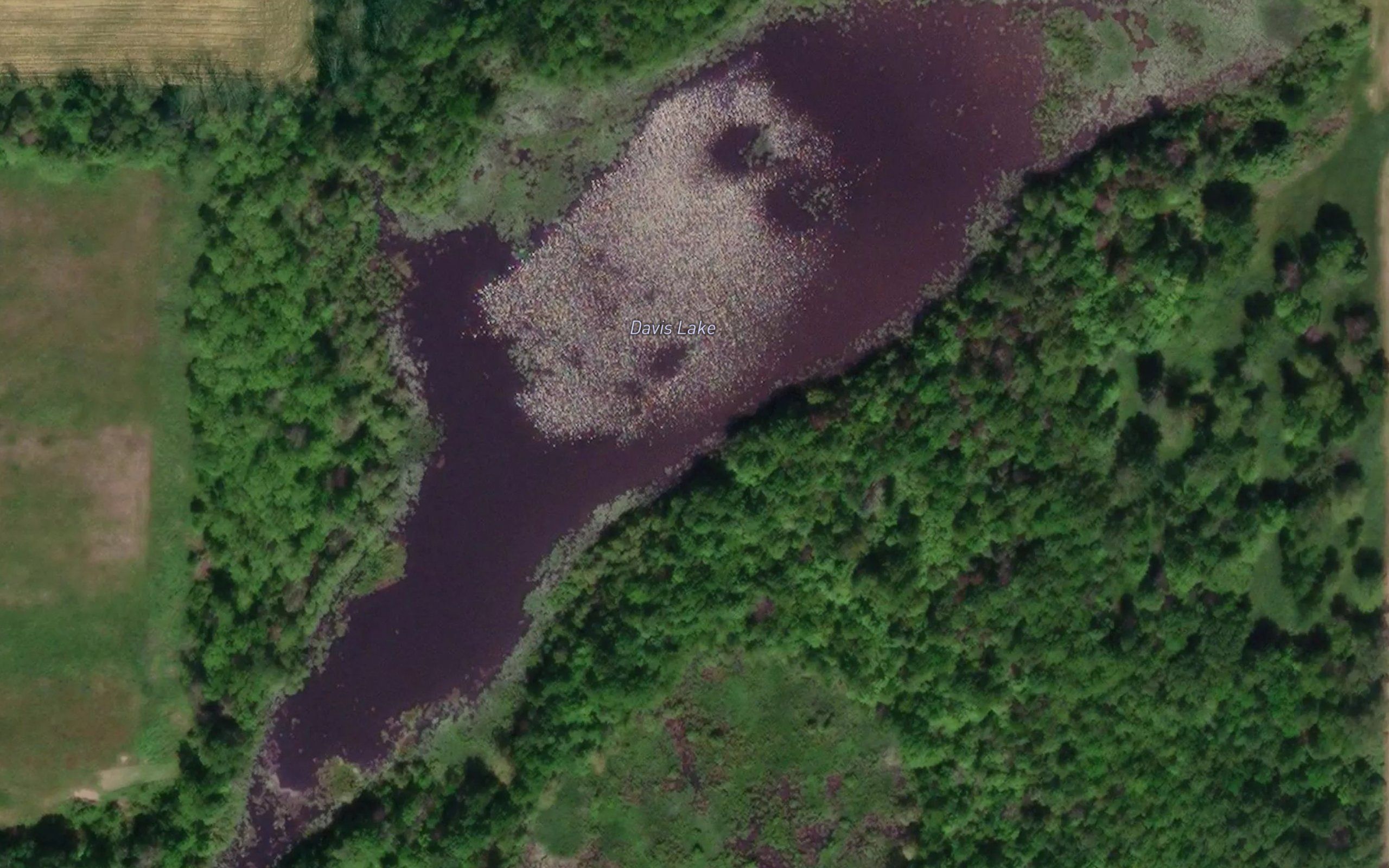 Davis Lake